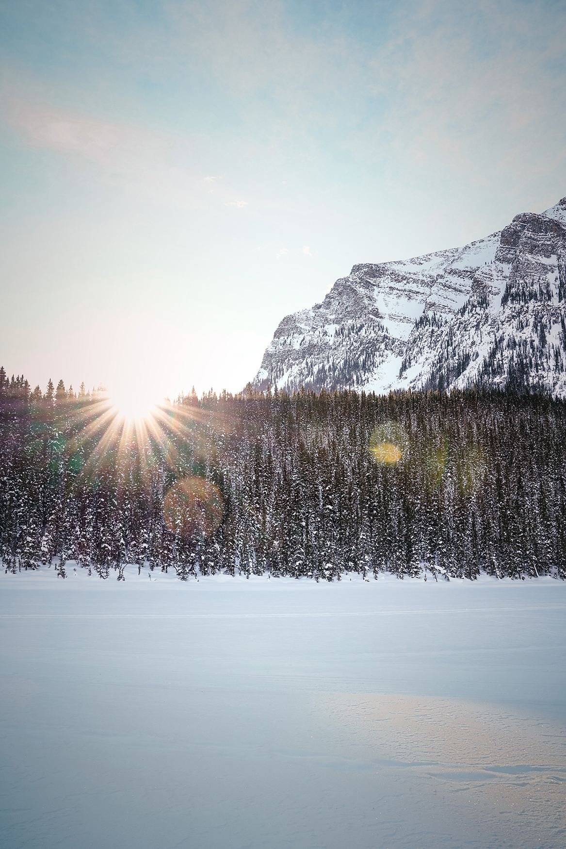 Rays of sun above the treeline in Canada