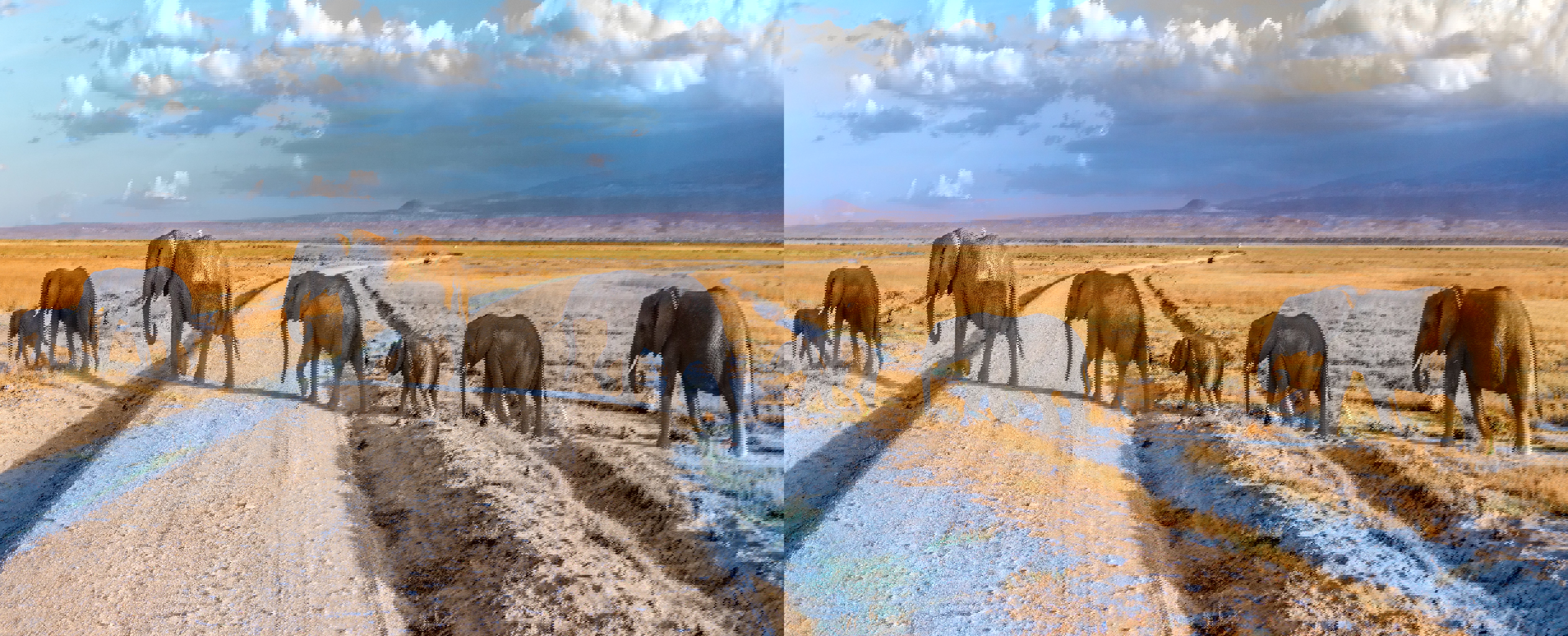 Umbraco.Cms.Core.Models.MediaWithCrops`1[Umbraco.Cms.Web.Common.PublishedModels.Image]