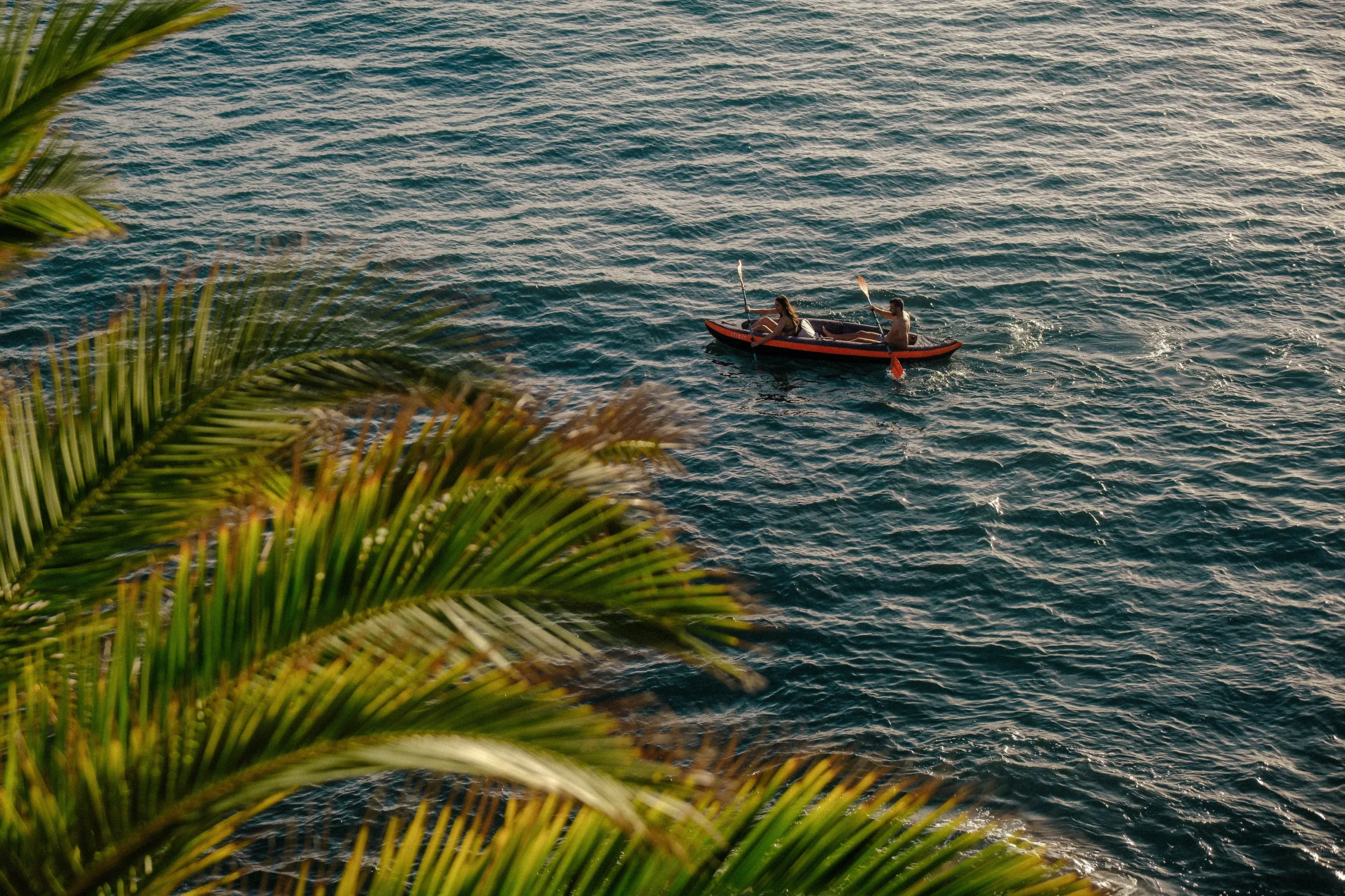 Kayak with two people paddling across a calm ocean, framed by lush green palm leaves in the foreground.