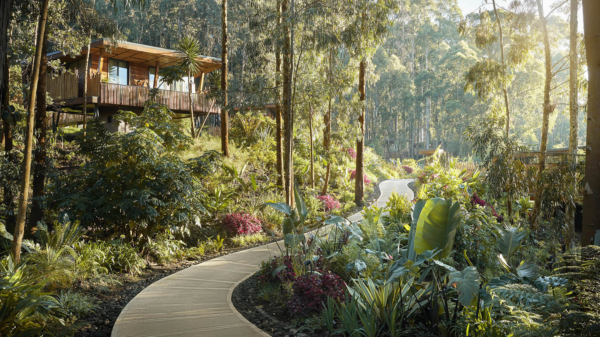 Africa, Rwanda, One&Only Gorilla's Nest, Wild Walkway