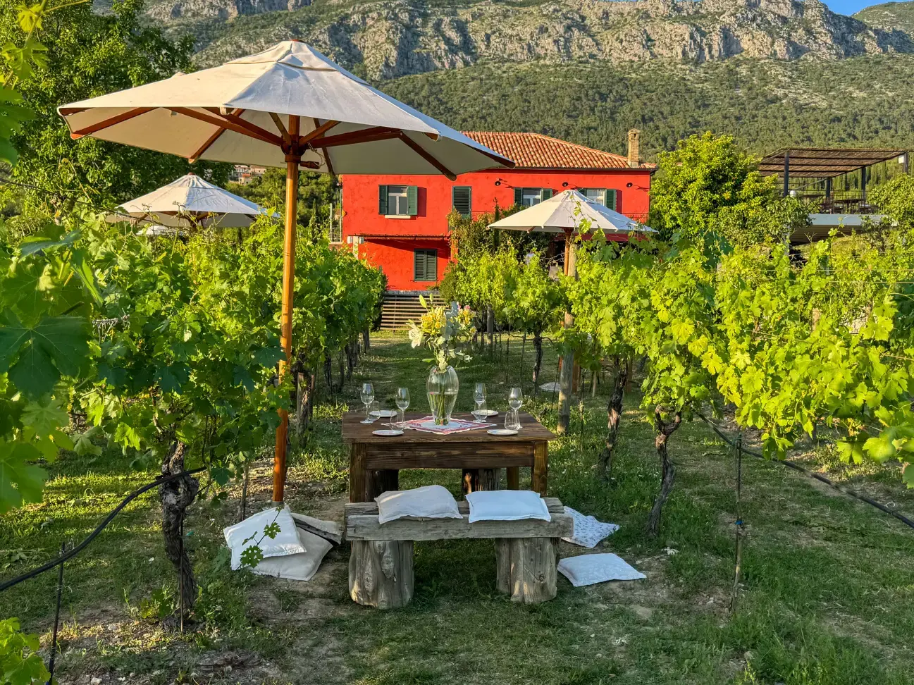 A rustic table set with wine glasses and comfy cushions beneath a sun umbrella among rows of grape vines with a bright red house behind