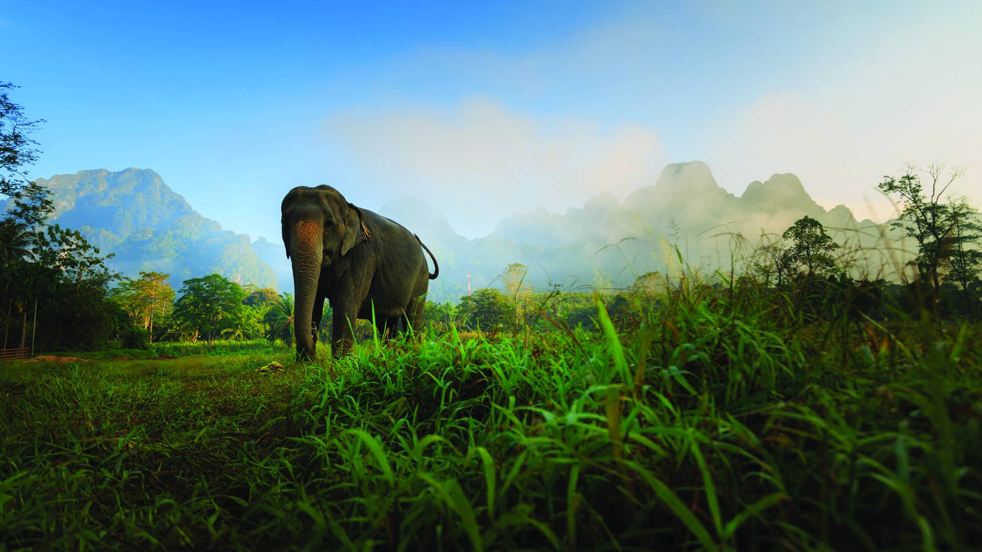 Elephant Hills