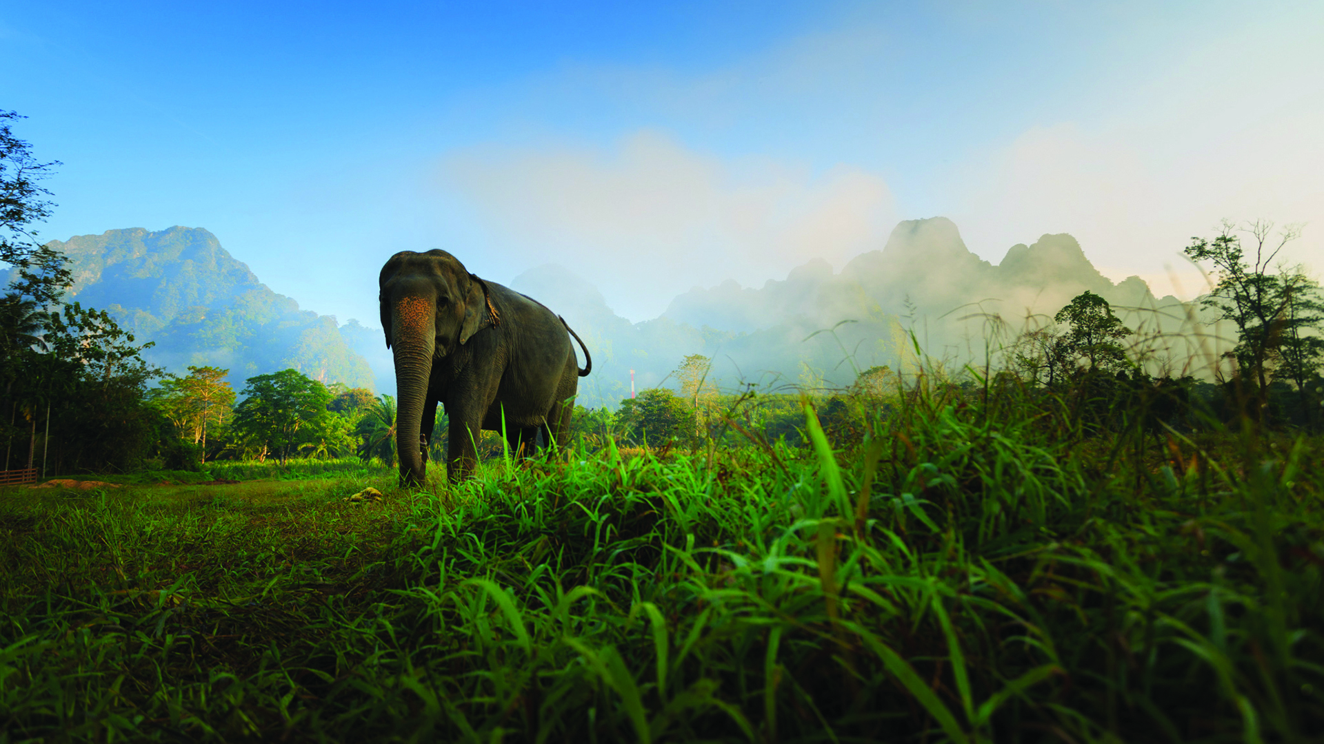 Elephant Hills, Thailand, Elephant Experience