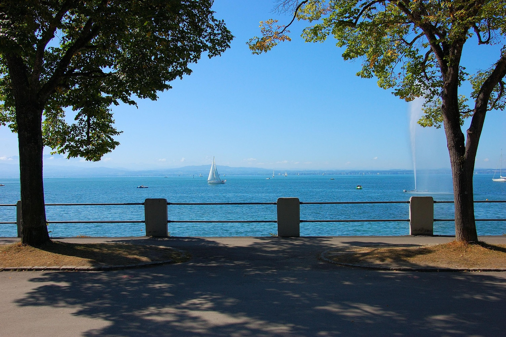 Lakeside view framed by trees with sailboats on calm water and a fountain spraying into the air.