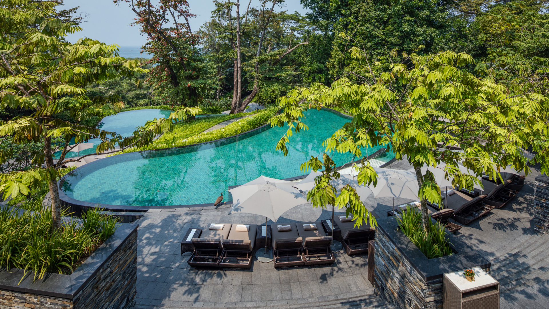 Worldwide, Singapore, Capella Singapore, Cascading swimming pools