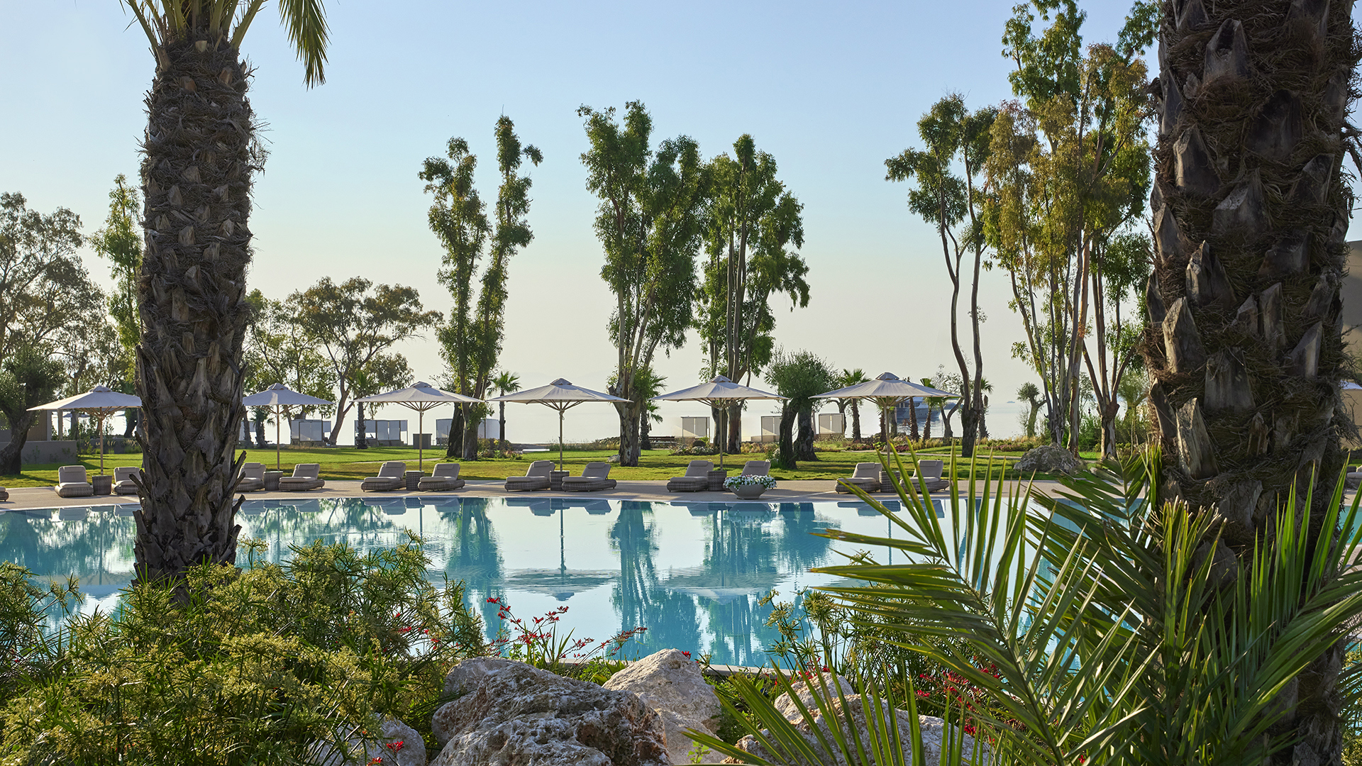 Pool surrounded by palms