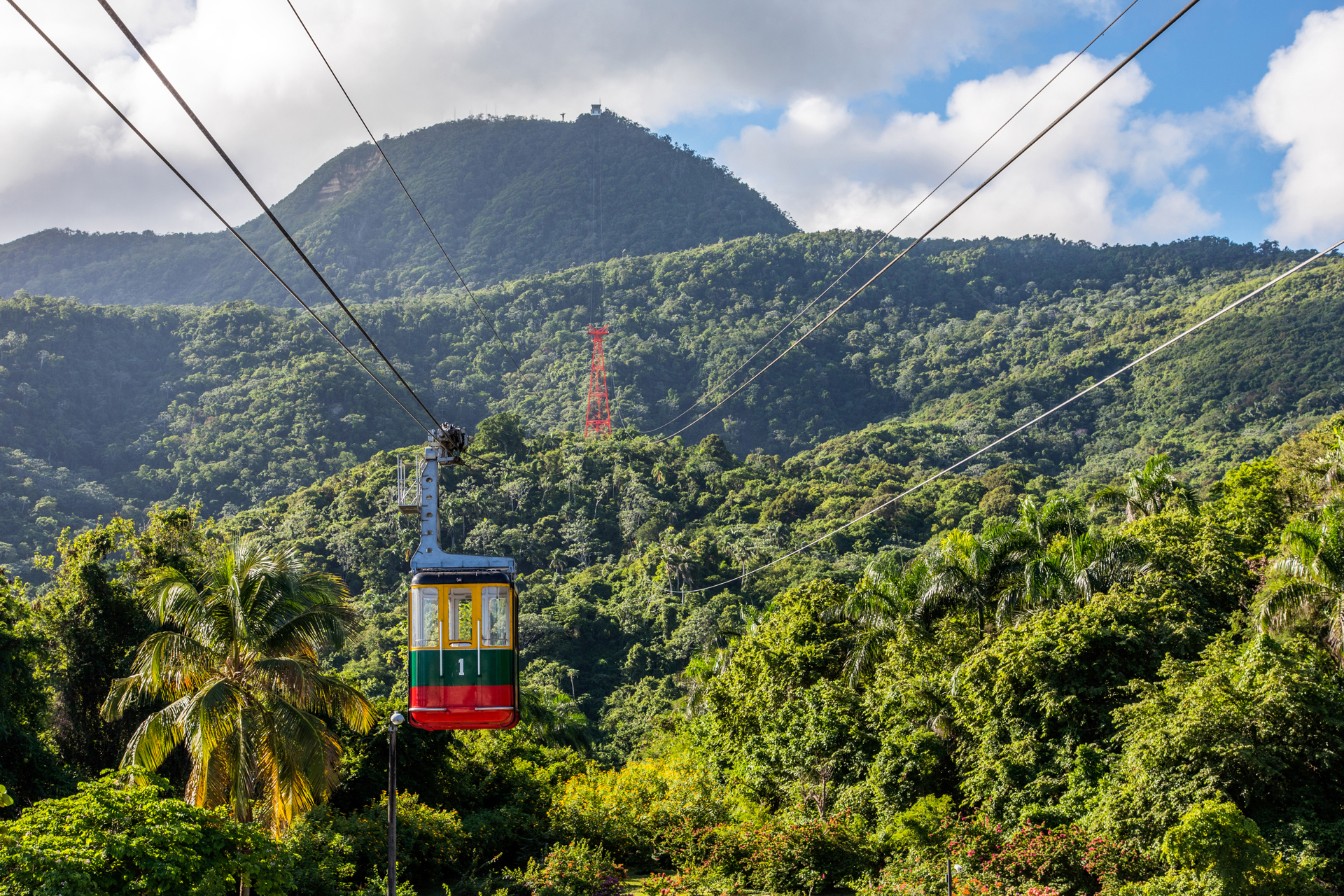 A cable car running across dense jungle