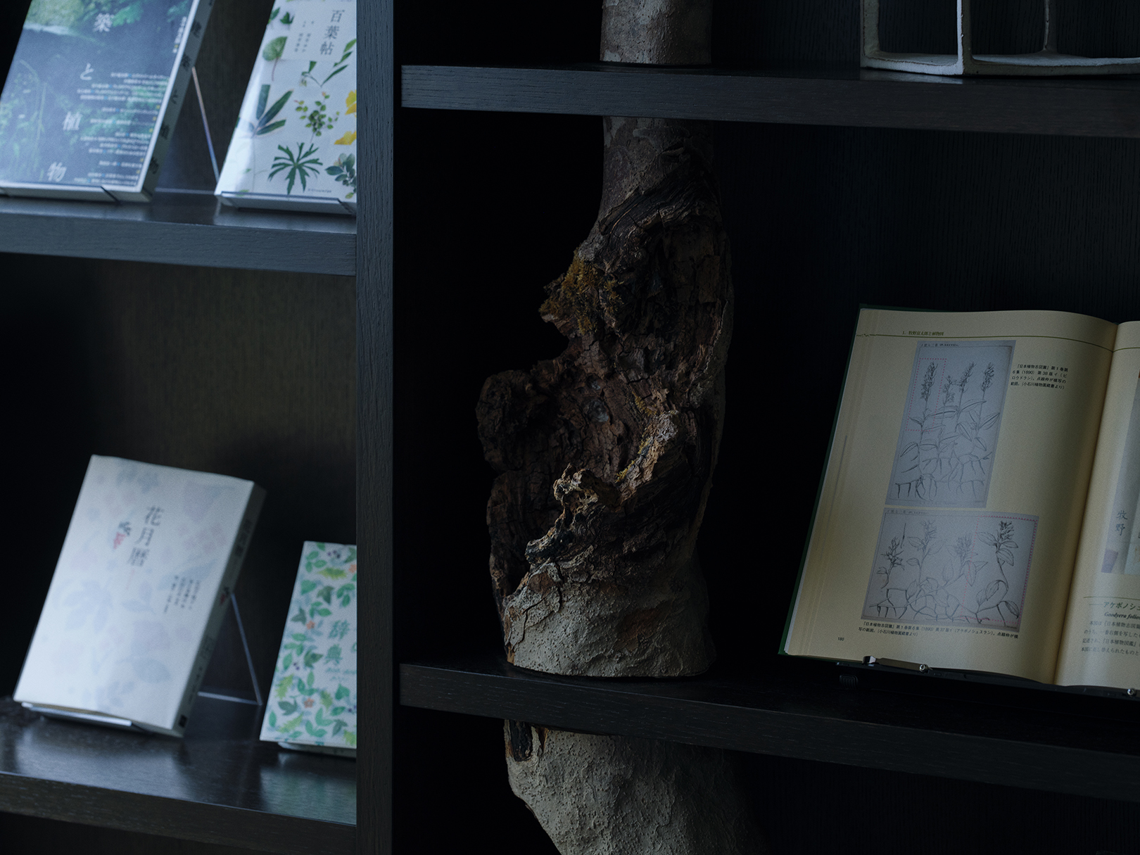 Asia, Japan, Beniya Mukayu, Library, Close up image of display 