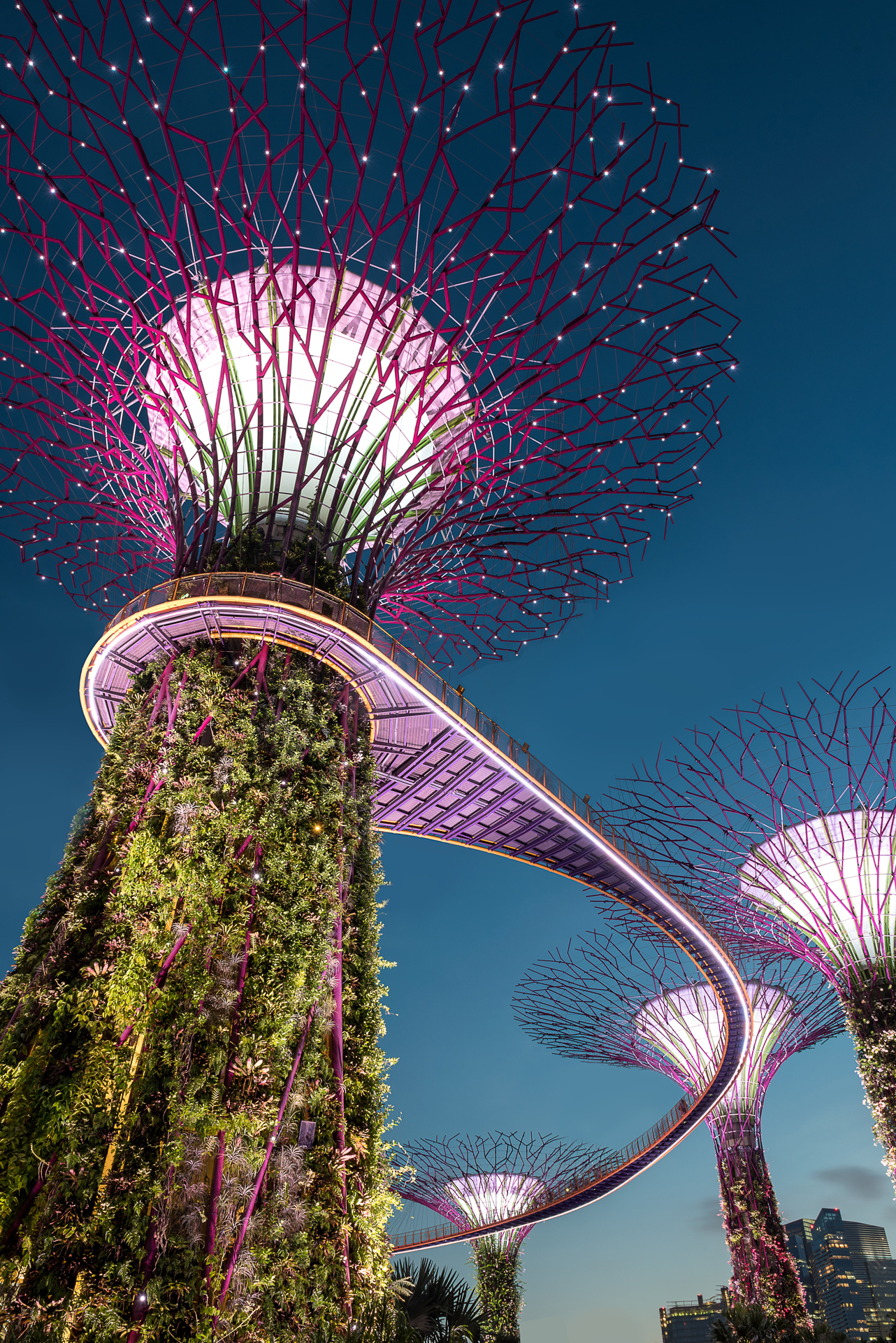 A futuristic walkway at Singapore airport that ends at a tree looking structure