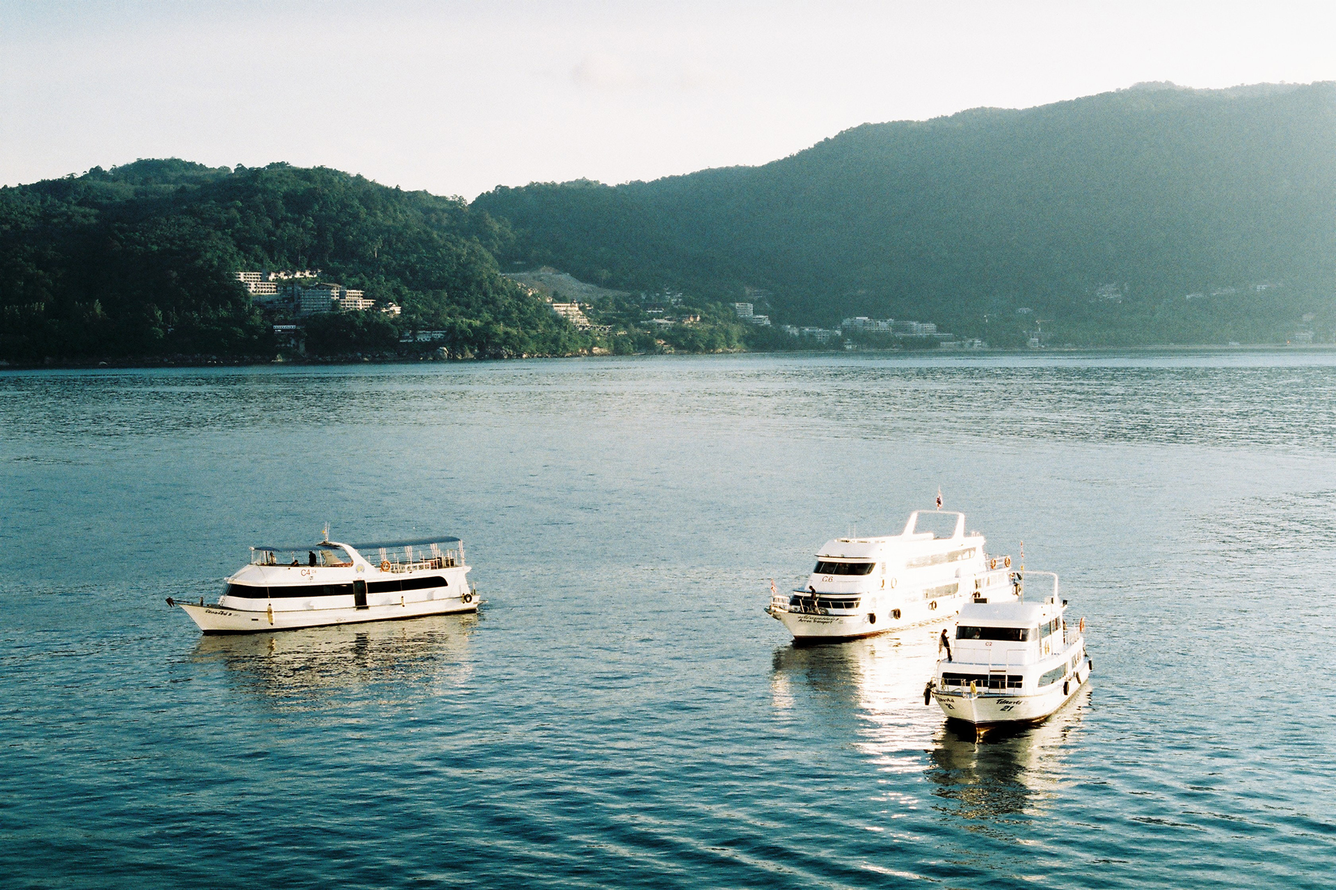 Three white boats on a body of water
