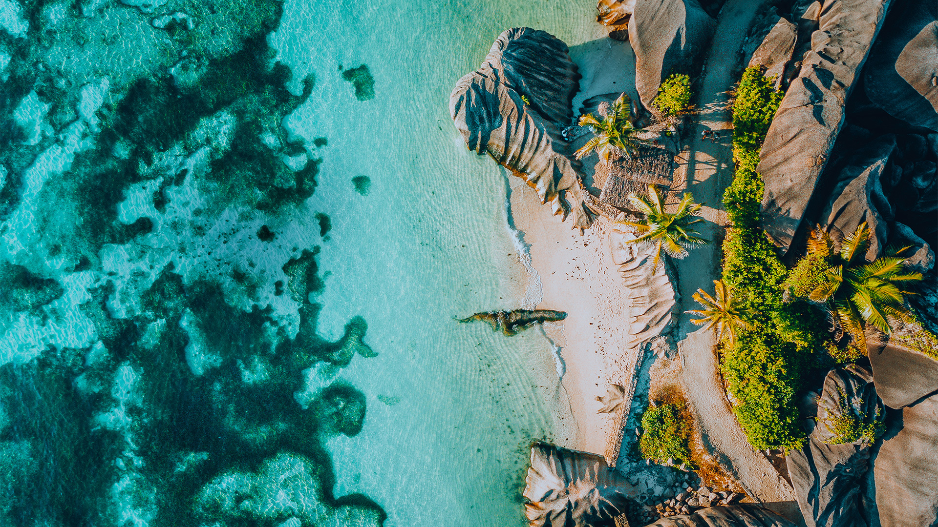 An aerial view of a beach in the Seychelles