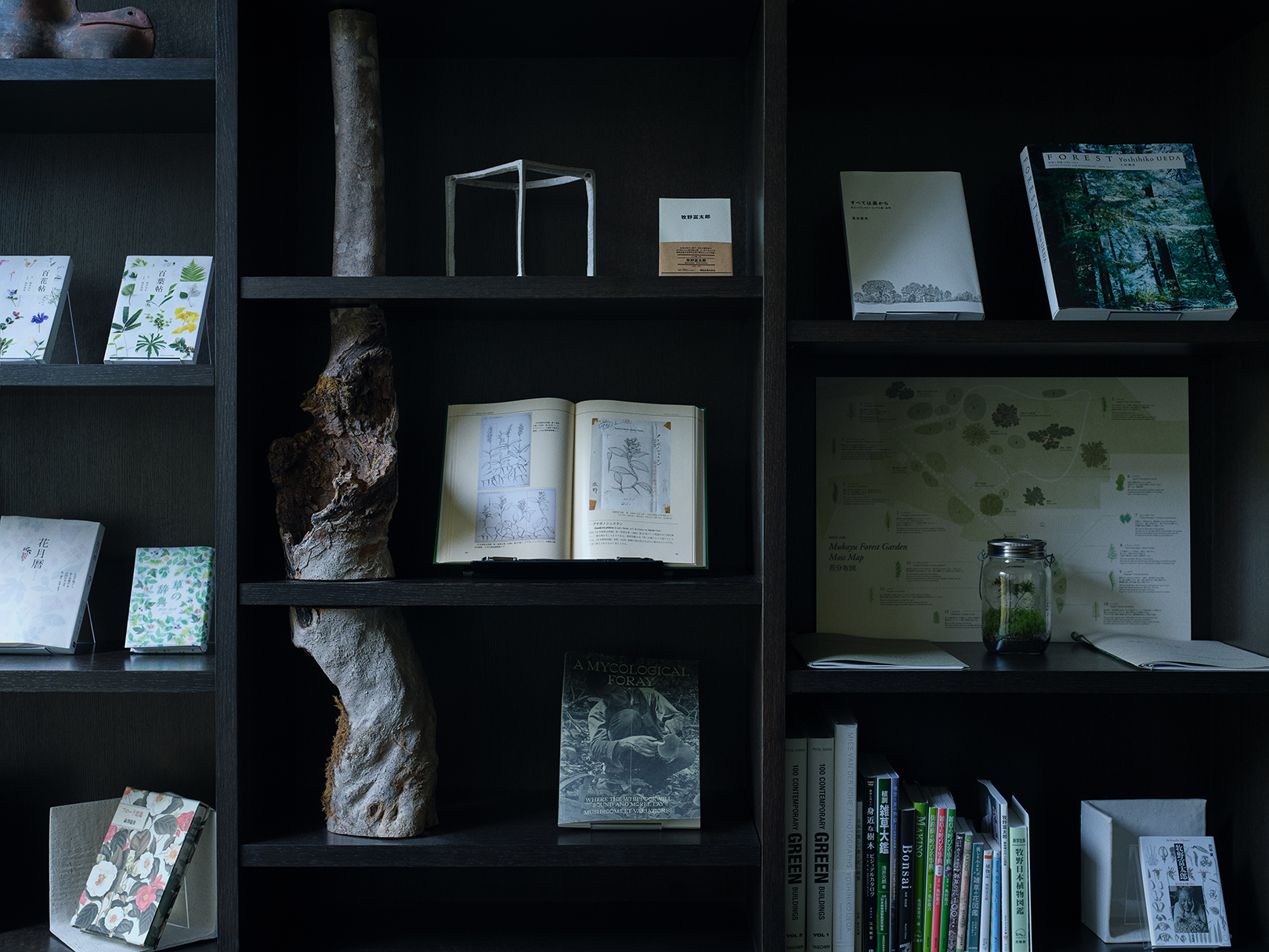 Asia, Japan, Beniya Mukayu, Library Shelves 