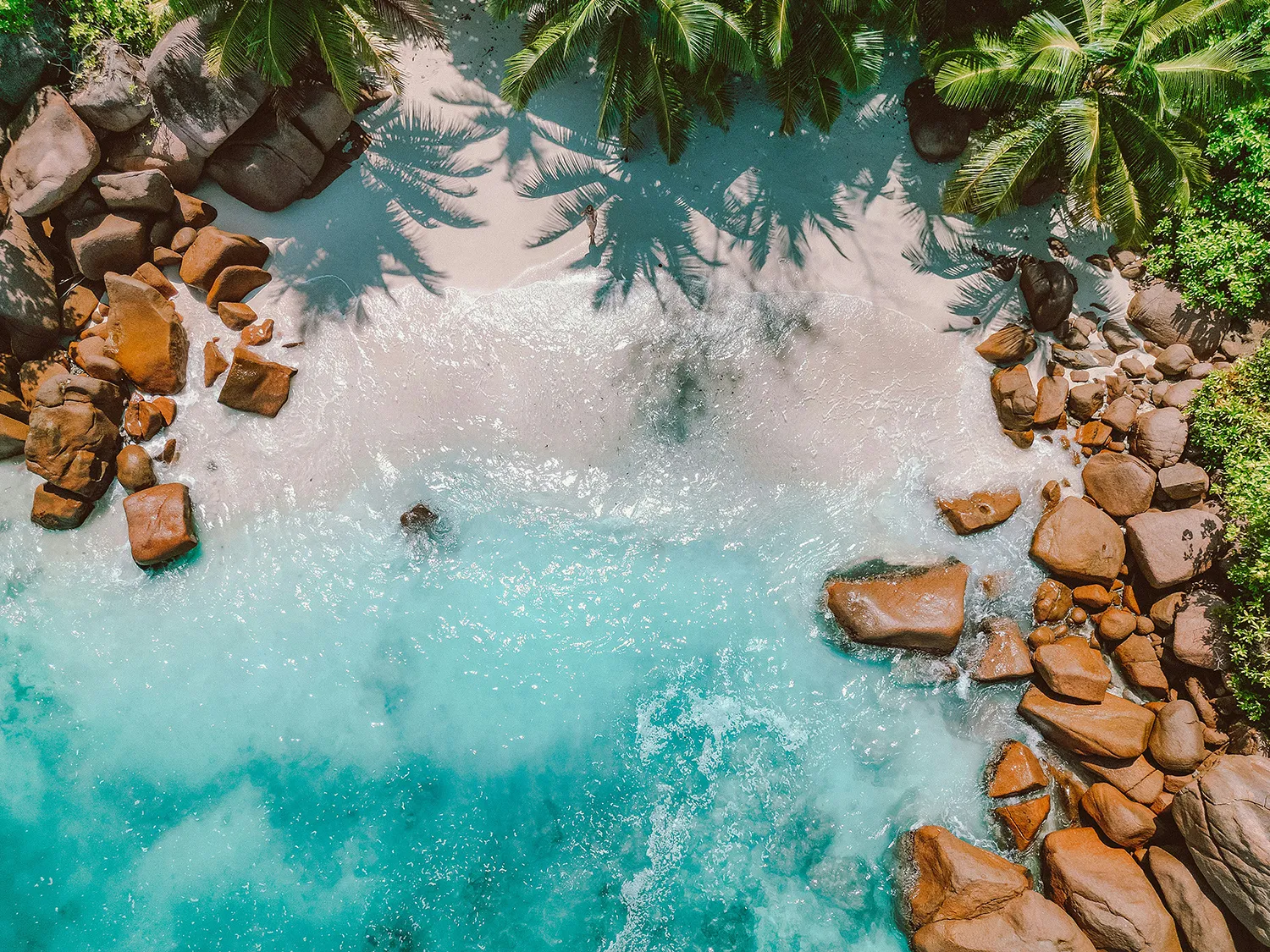 Aerial view of a tropical beach with turquoise water, smooth granite boulders and palm trees casting shadows on white sand.