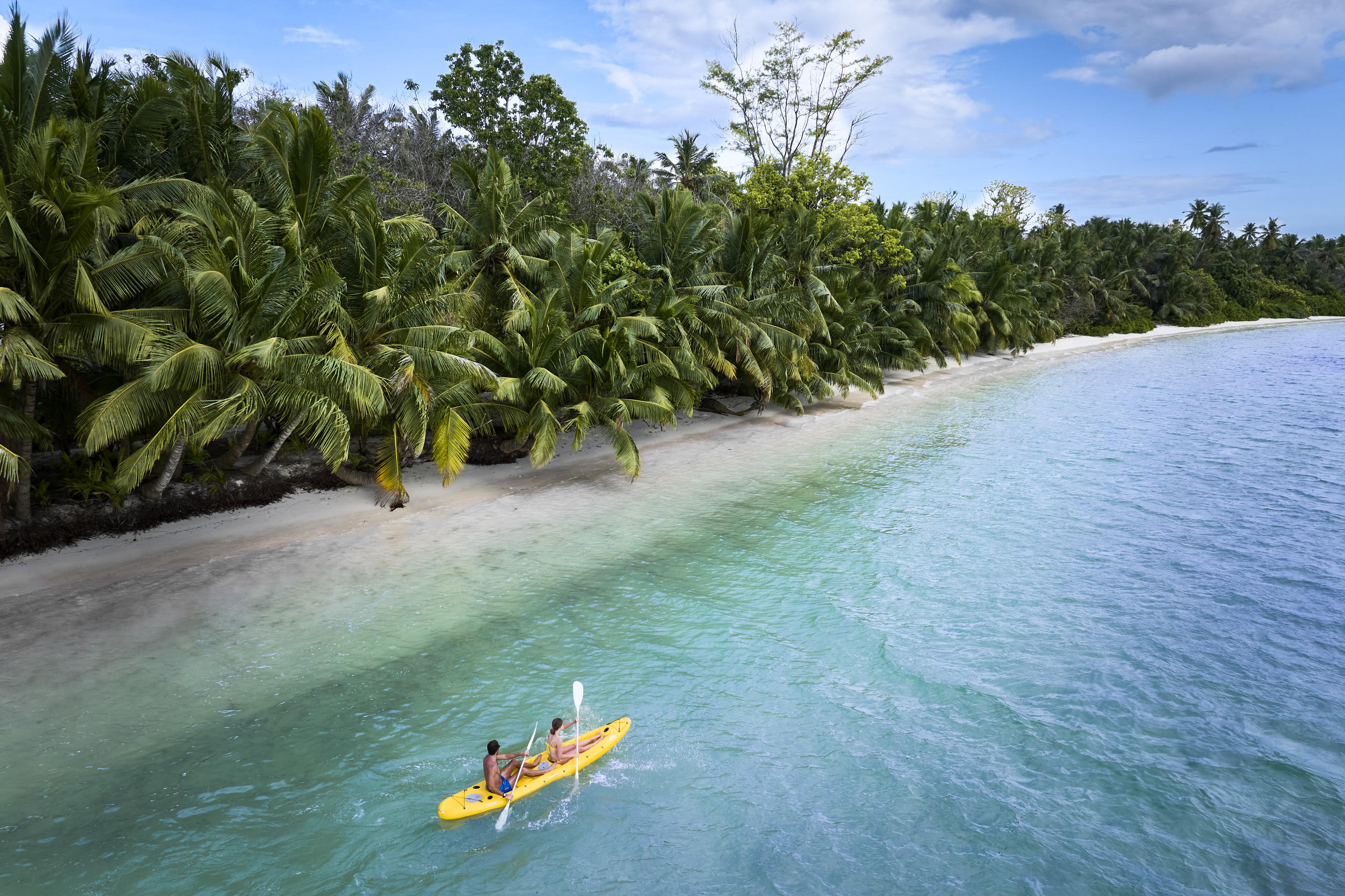 Two people in a yellow kayak paddling on the ocean next to mangroves 