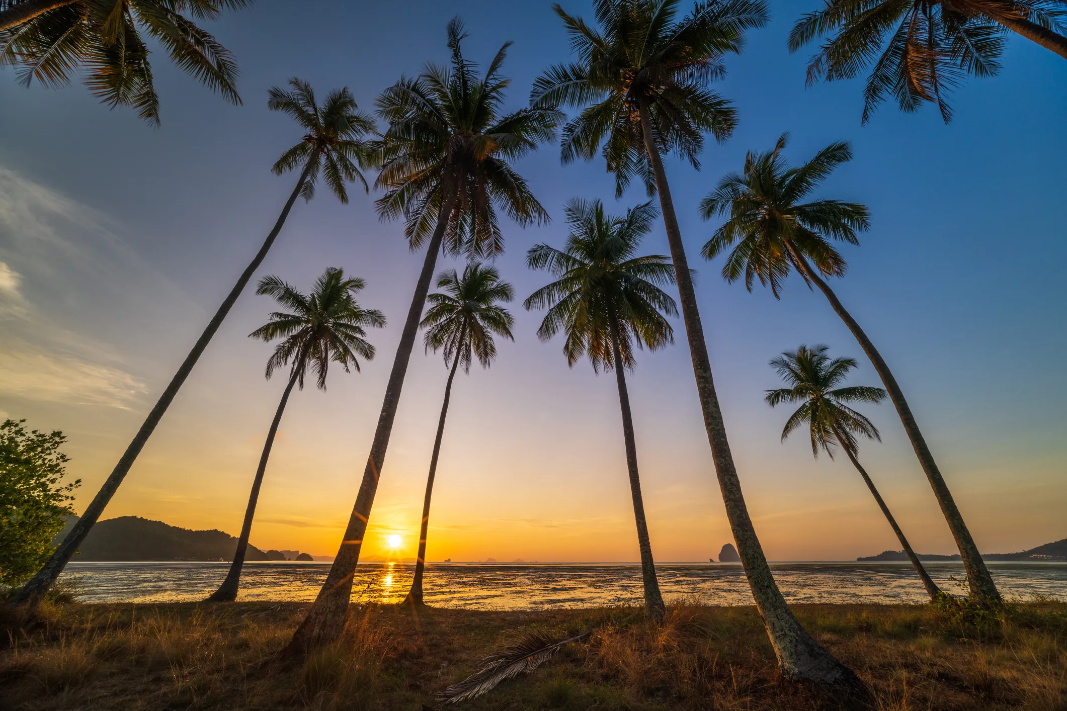 Tall palm trees silhouetted against a vibrant sunset over a calm beach.