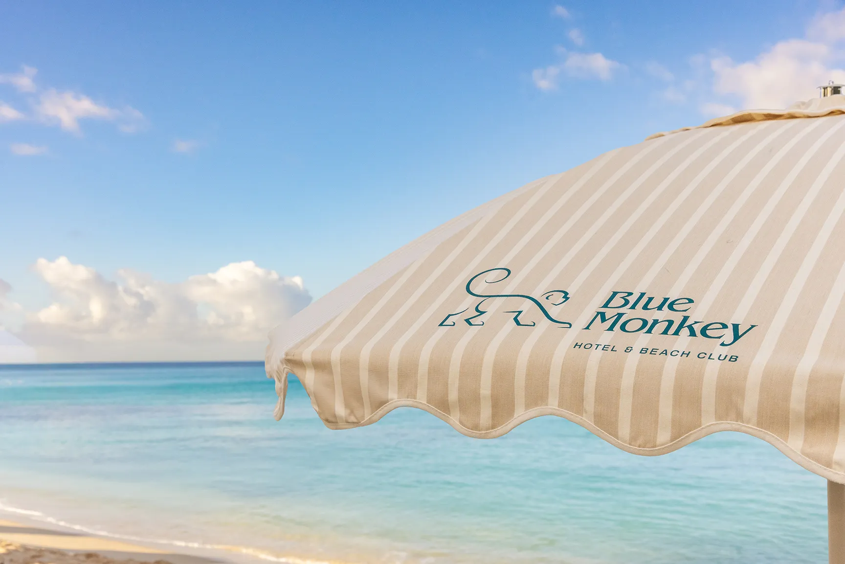 Branded Blue Monkey beach umbrella overlooking a turquoise ocean and sandy shoreline under a clear blue sky.