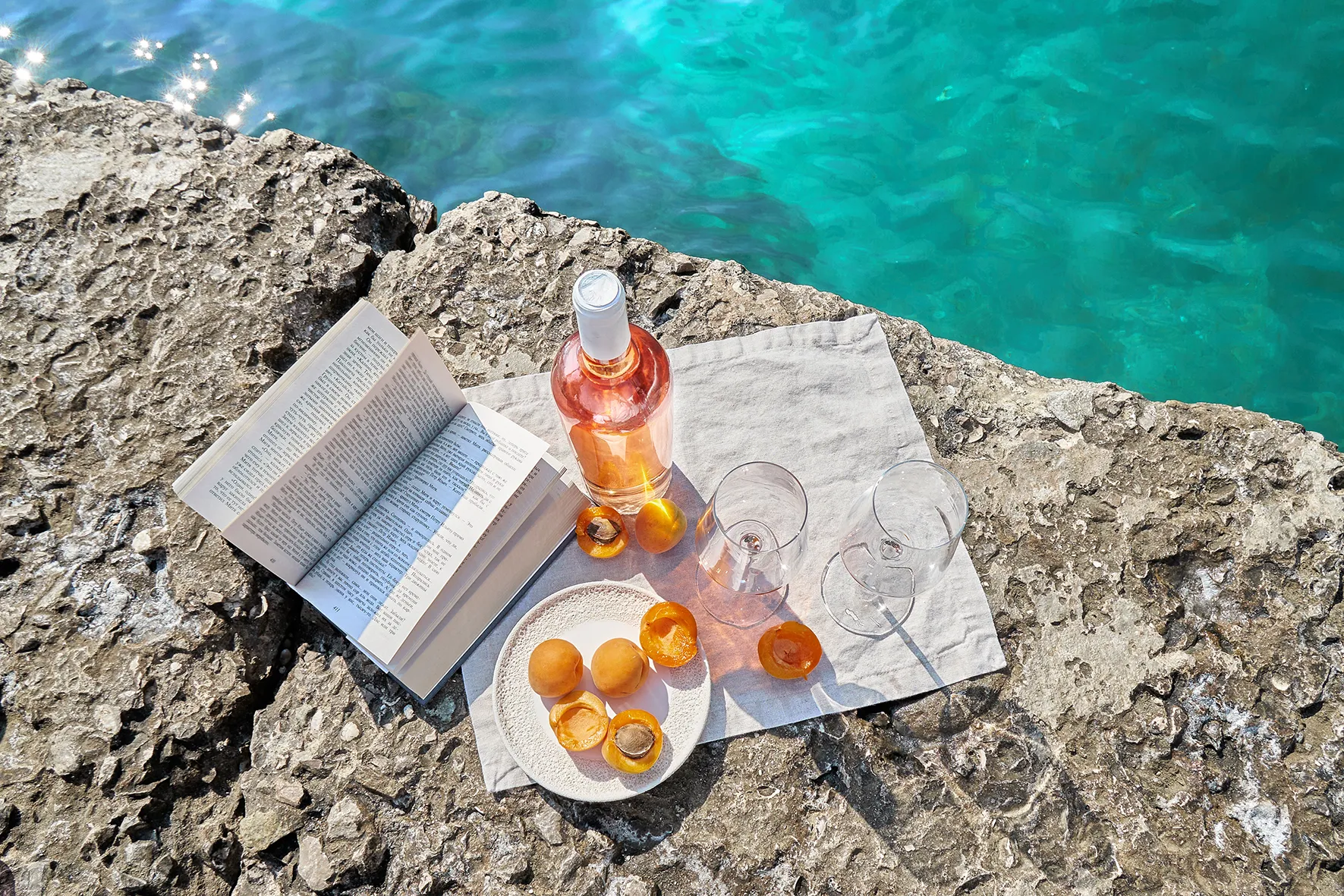 A bottle of wine, fruit plate and an open book by the shoreline