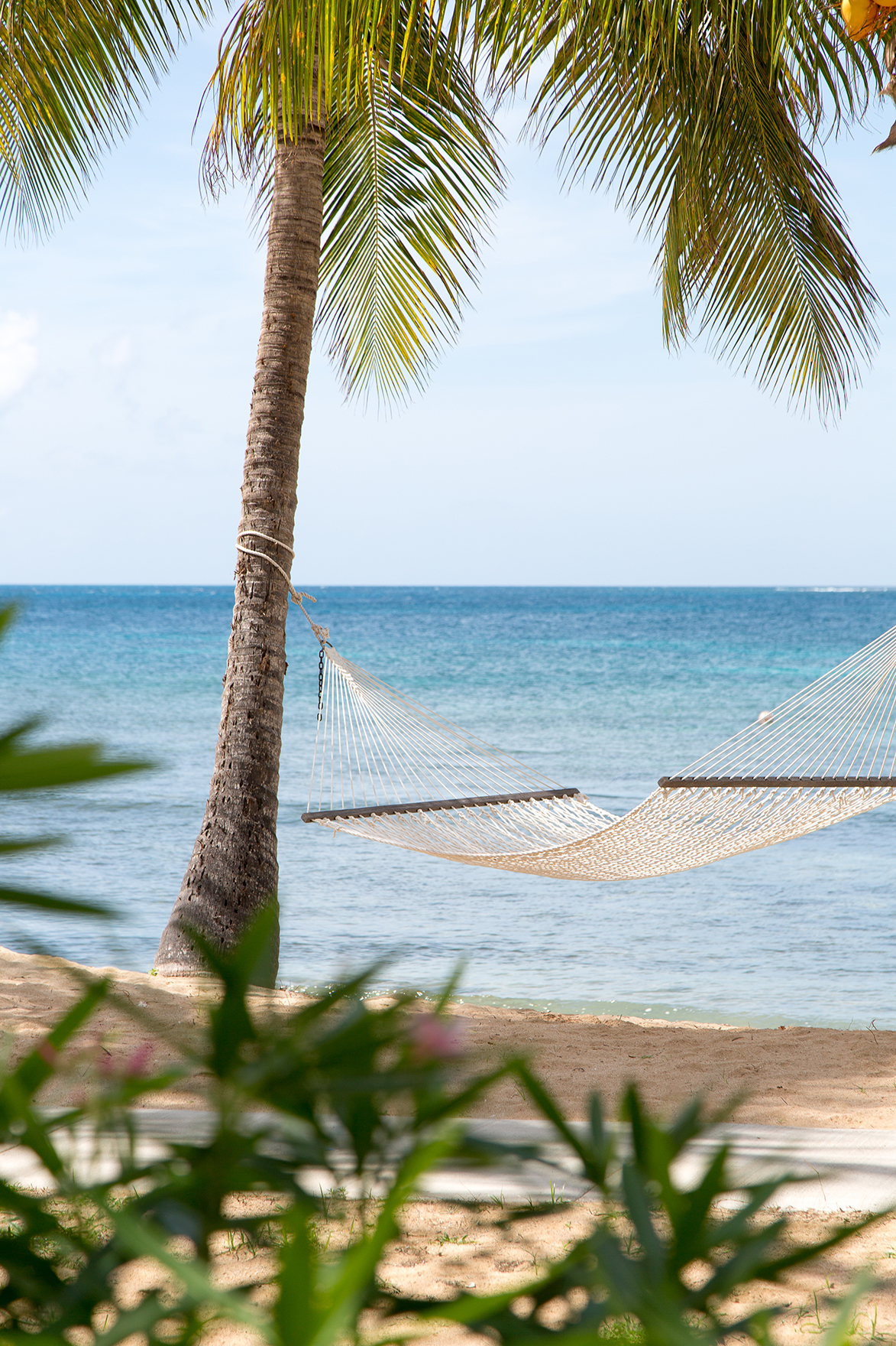 Caribbean & Mexico, Antigua, Curtain Bluff, View of beach with palm tree and hammock