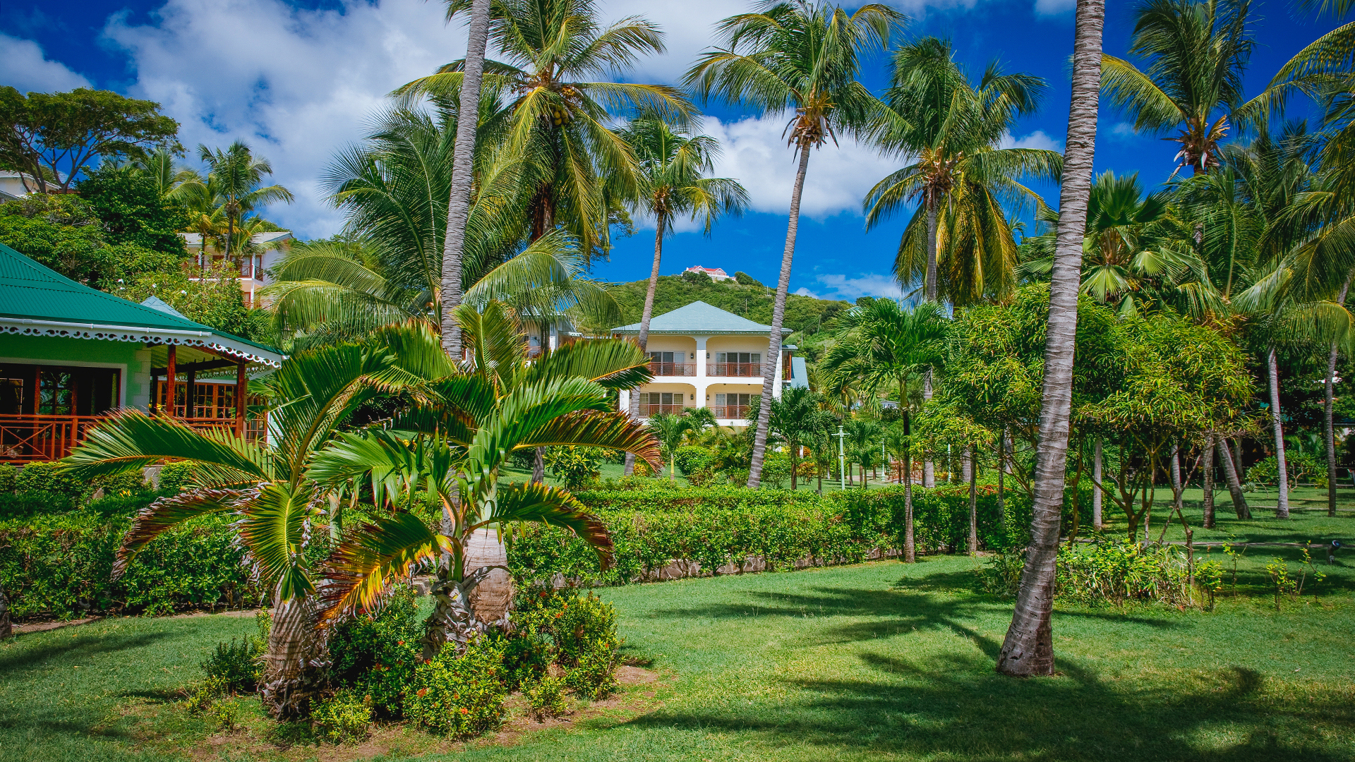 Caribbean, Bermuda & Mexico, The Grenadines, Bequia Beach Hotel, Gardens