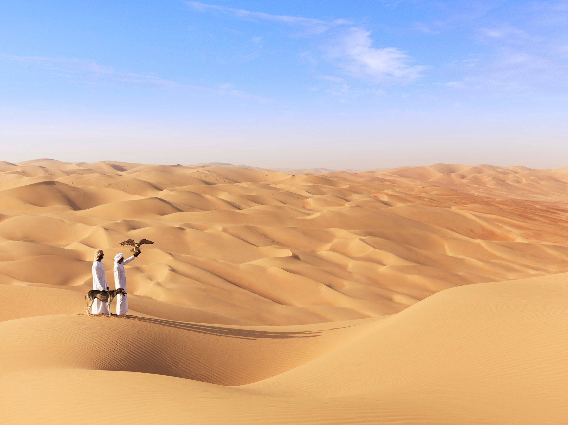 Two man flying a falcon in the desert
