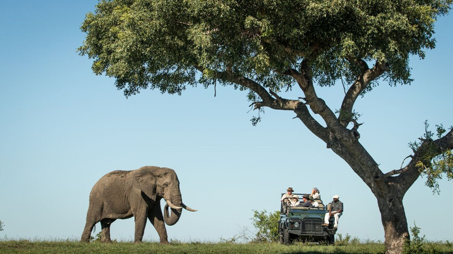  Africa, South africa, Savanna private game reserve, Elephant Safari