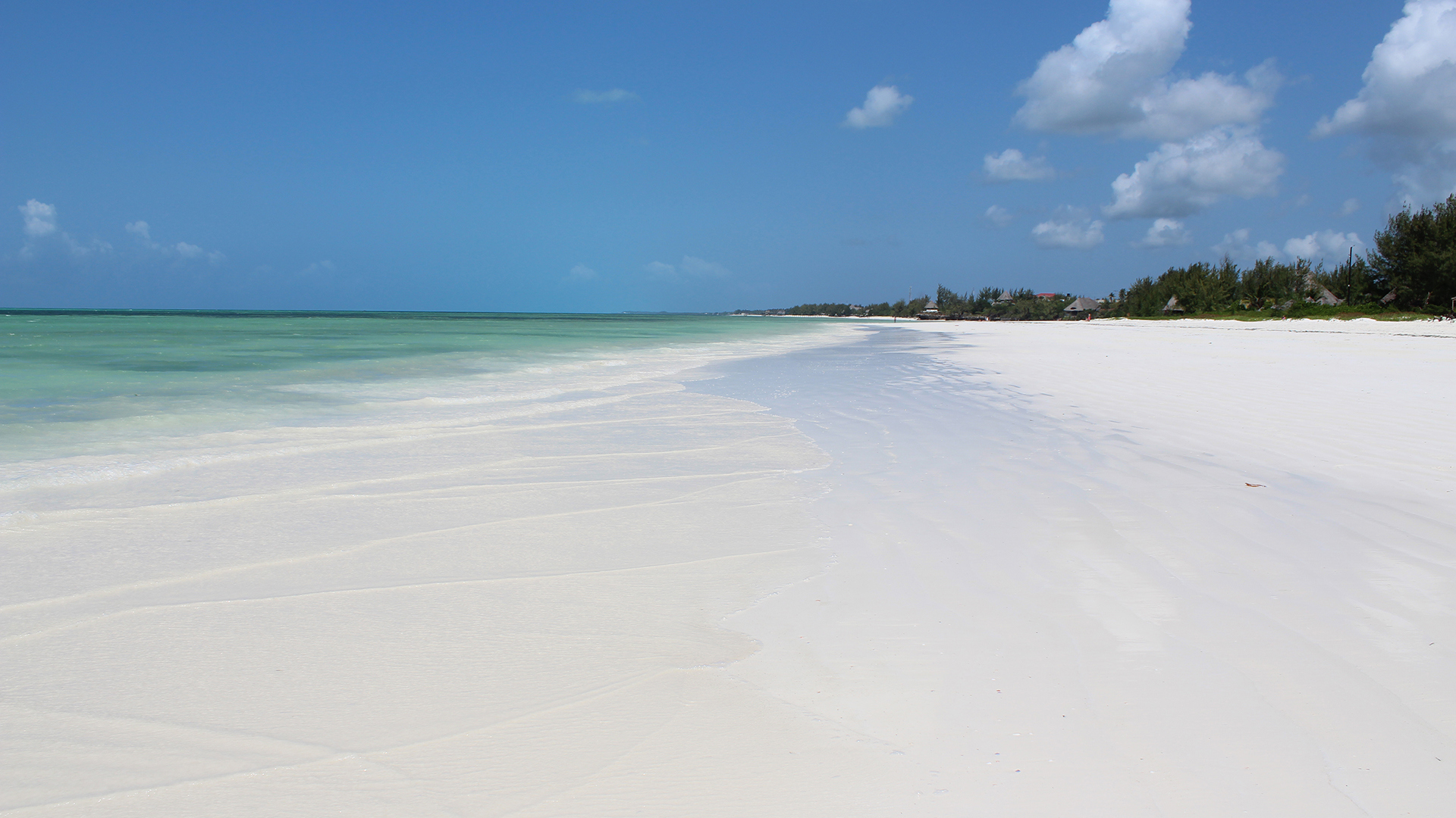  Africa, Zanzibar, White Sand, Paje Beach 