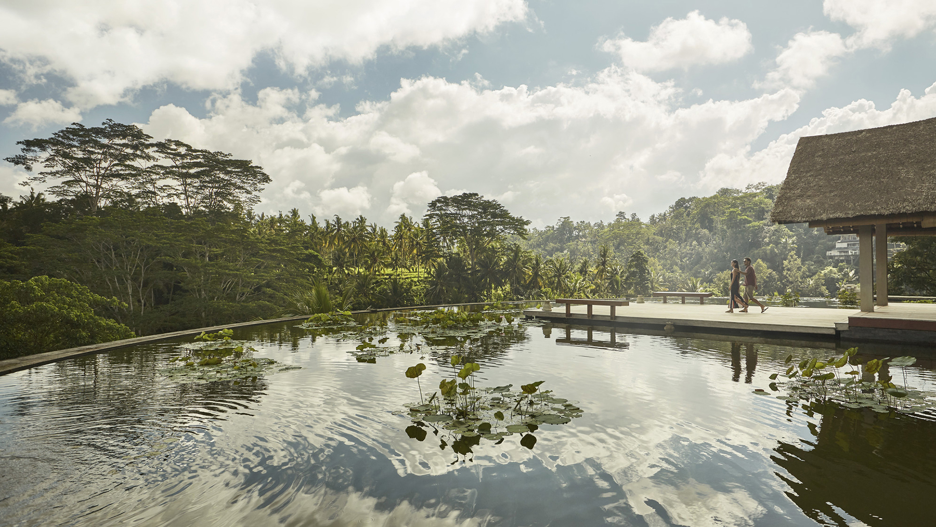 Worldwide, Indonesia, Four Seasons Resort Bali at Sayan, Lotus Pond