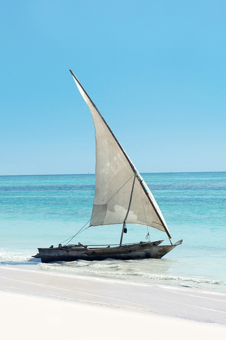 A small empty sailboat at the shores edge