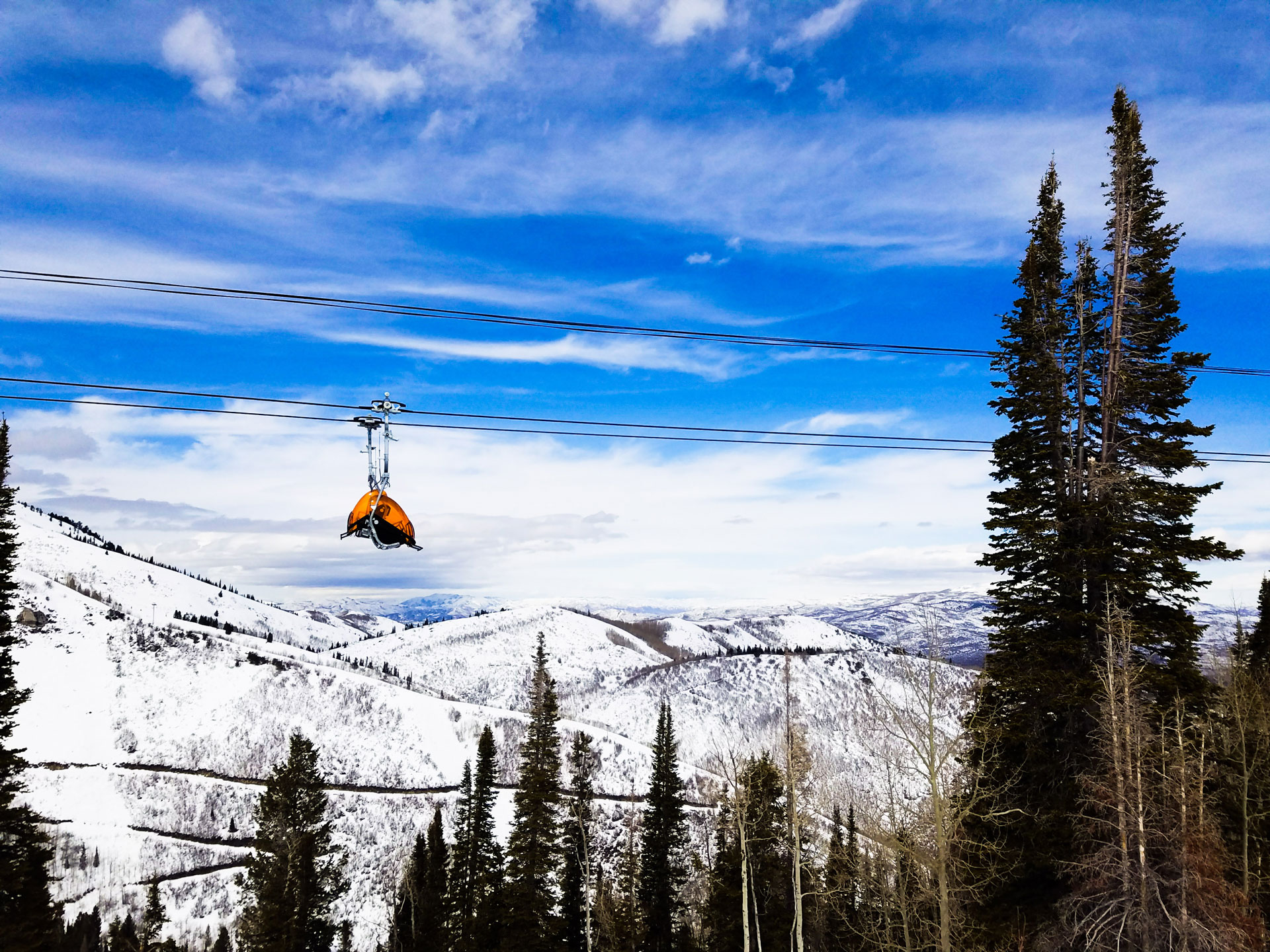 A ski chair lift padding over tall trees with snowy mountains in the background