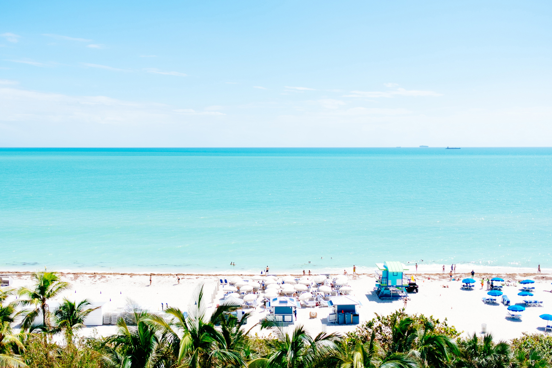 Palm tree sandy beach and blue sea and sky