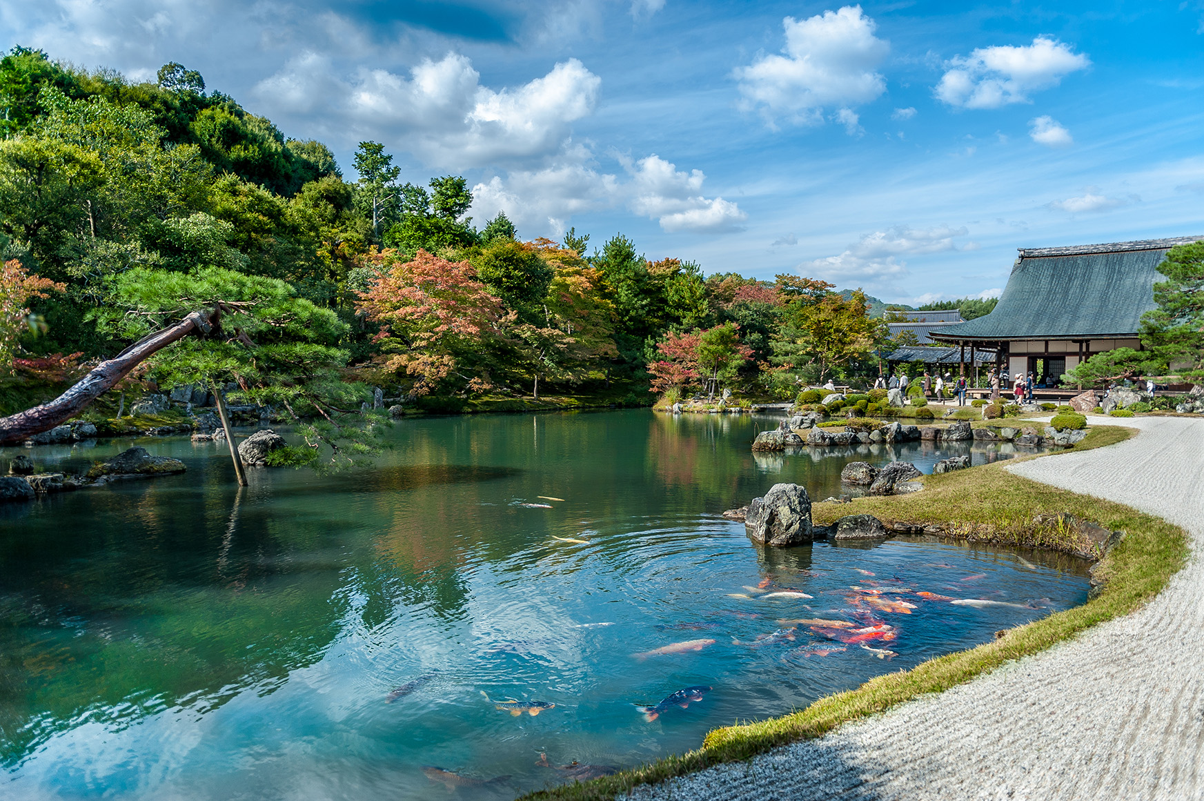 Japan, Tenryu-ji Temple 