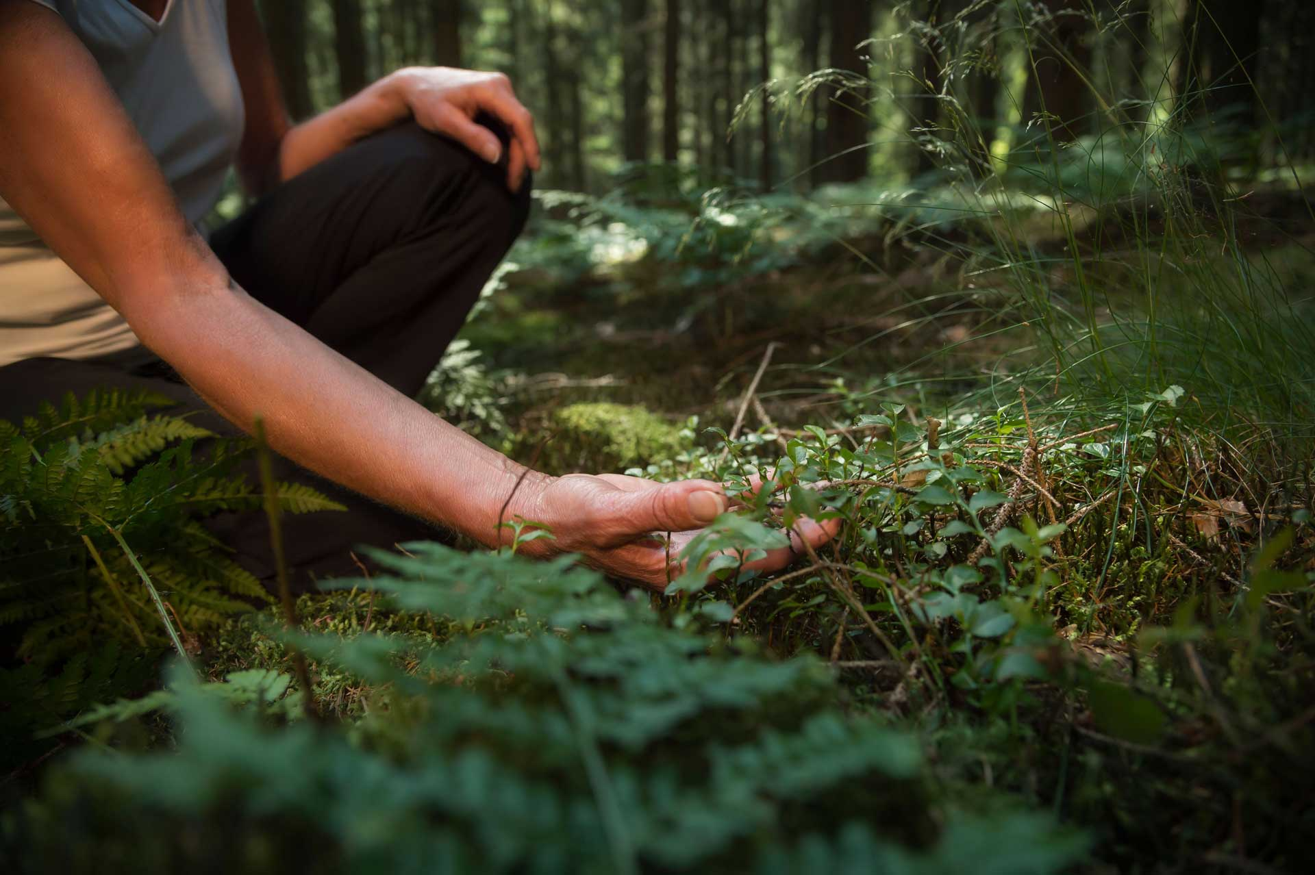 Close-up of a person’s hand gently touching plants on a forest floor among greenery and soft daylight.