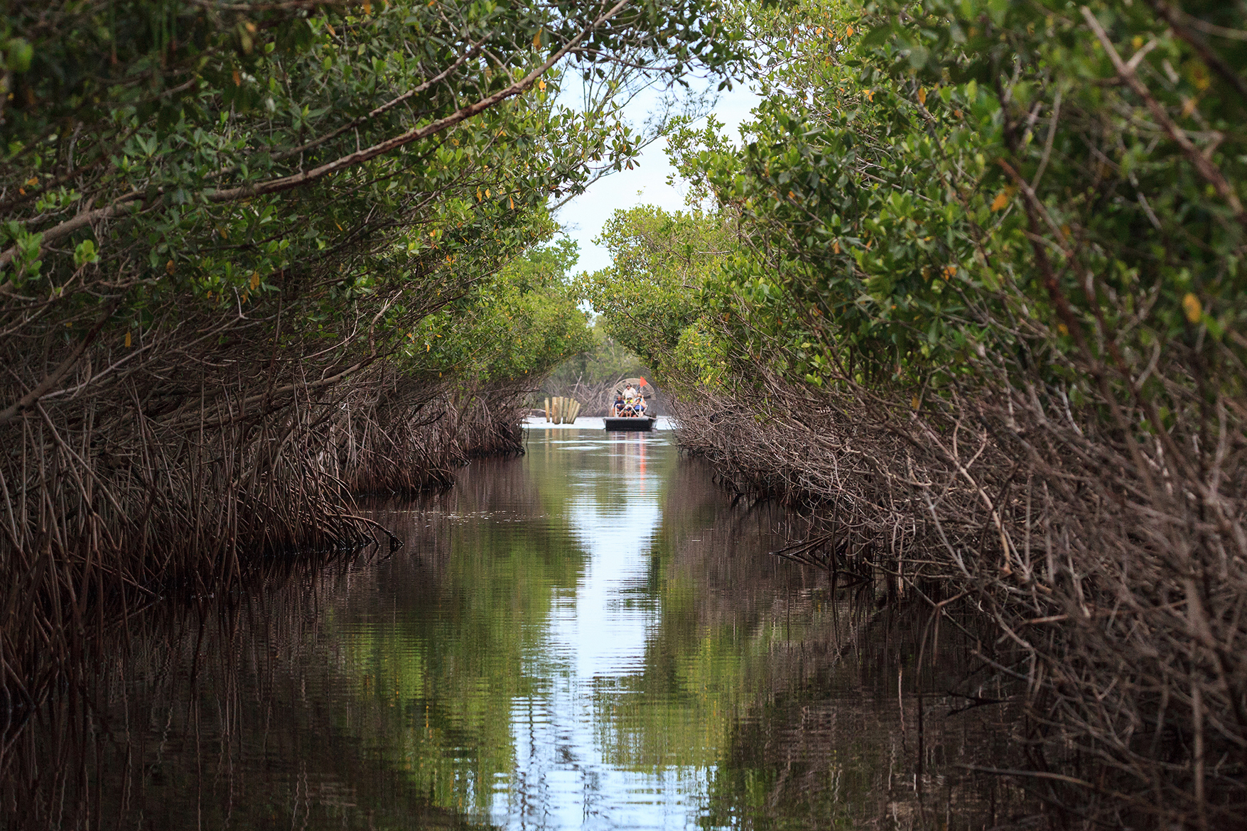 Airboat tour through the Florda Everglades