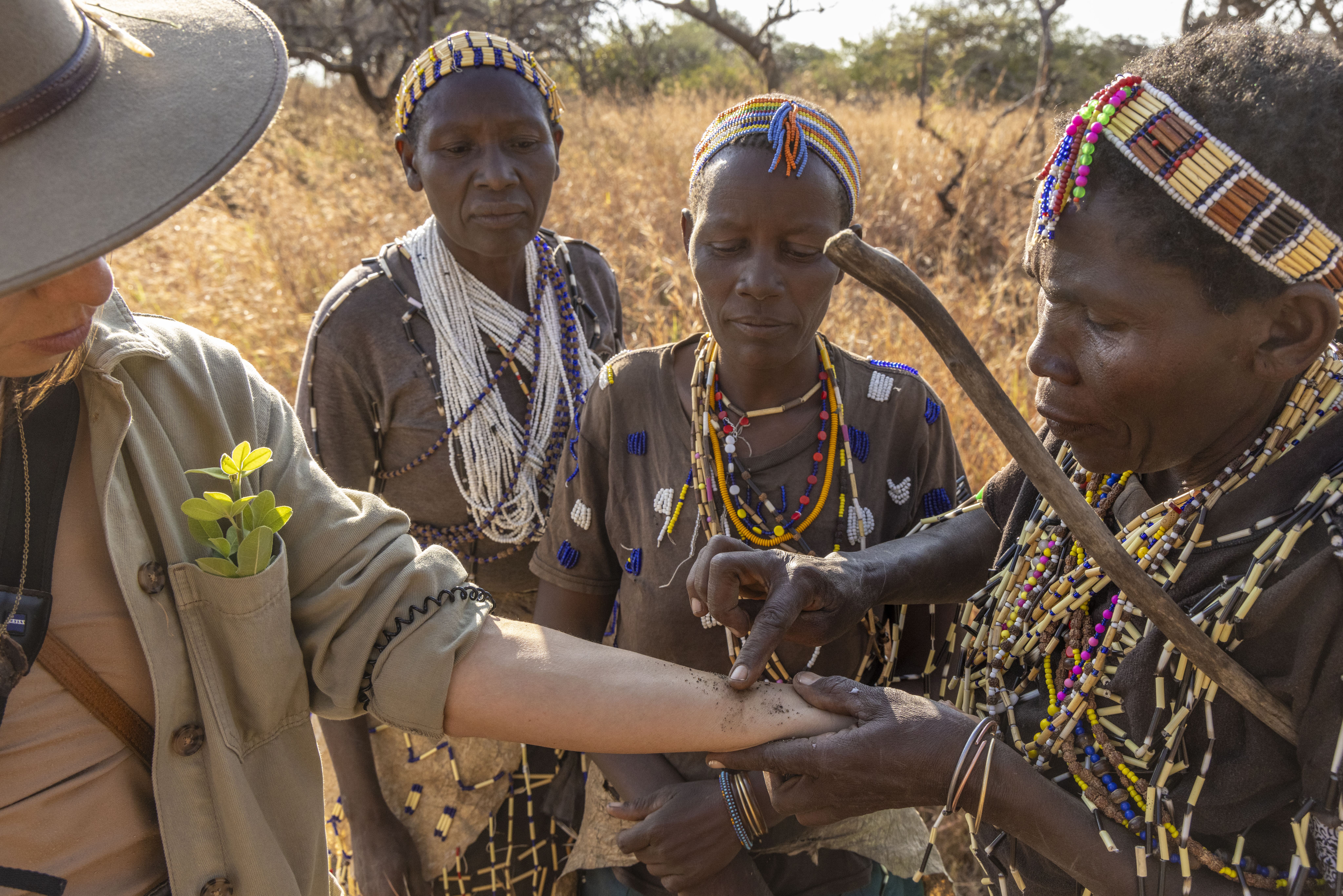 A woman on a foragging walk with three members of the Hadzabe tribe demonstrating medicinal plant properties 