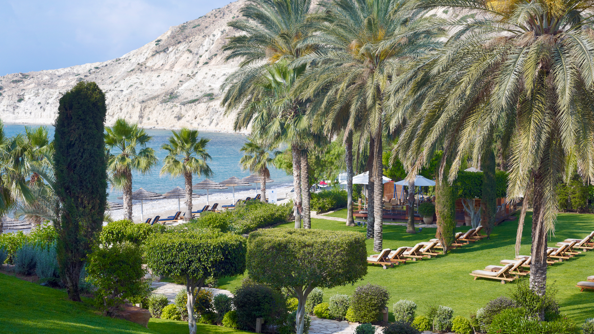 Green beach front with palm trees at Columbia Beach Resort