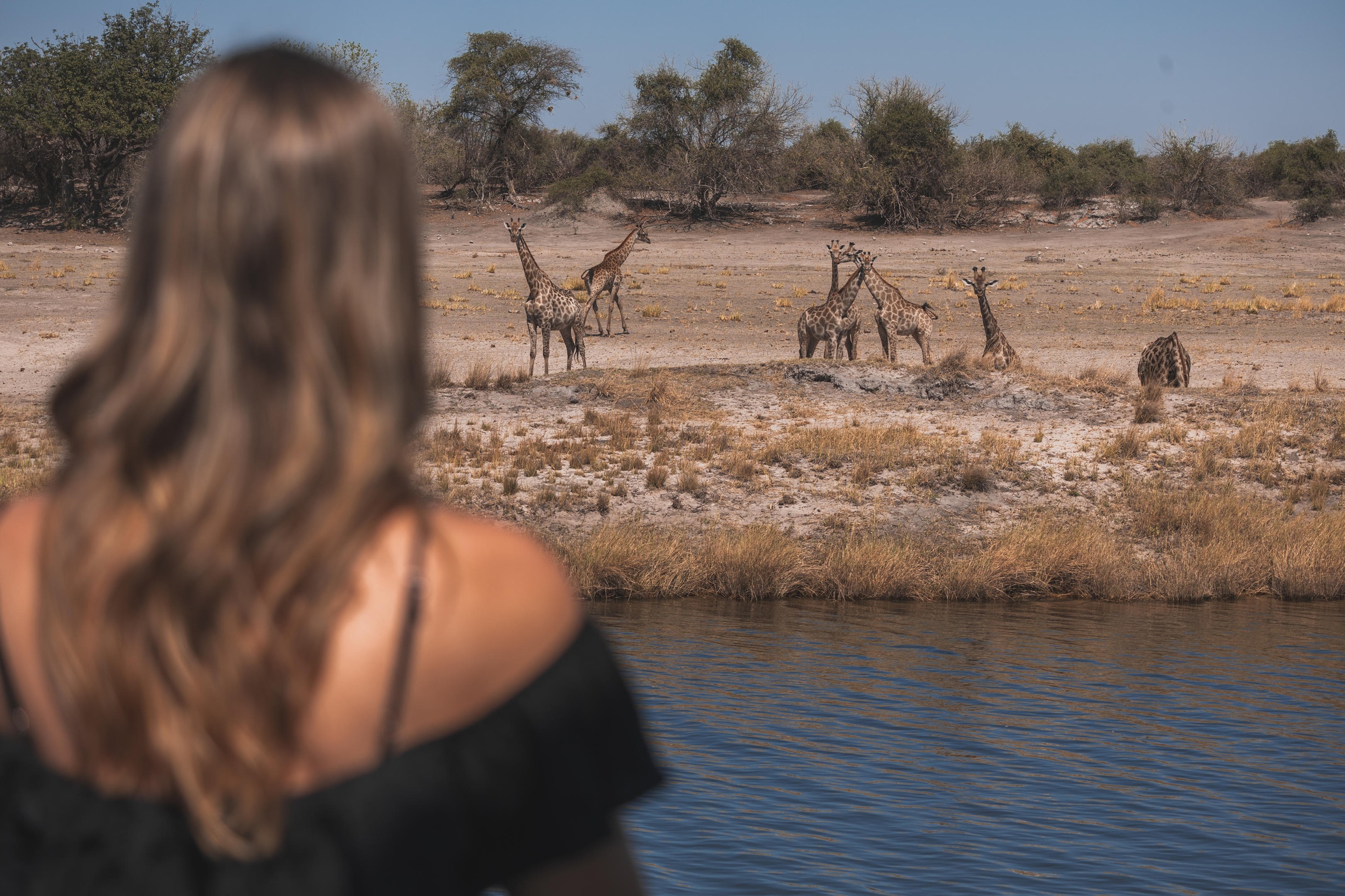 Guests viewing giraffes from the Chobe Princess on the Chobe River