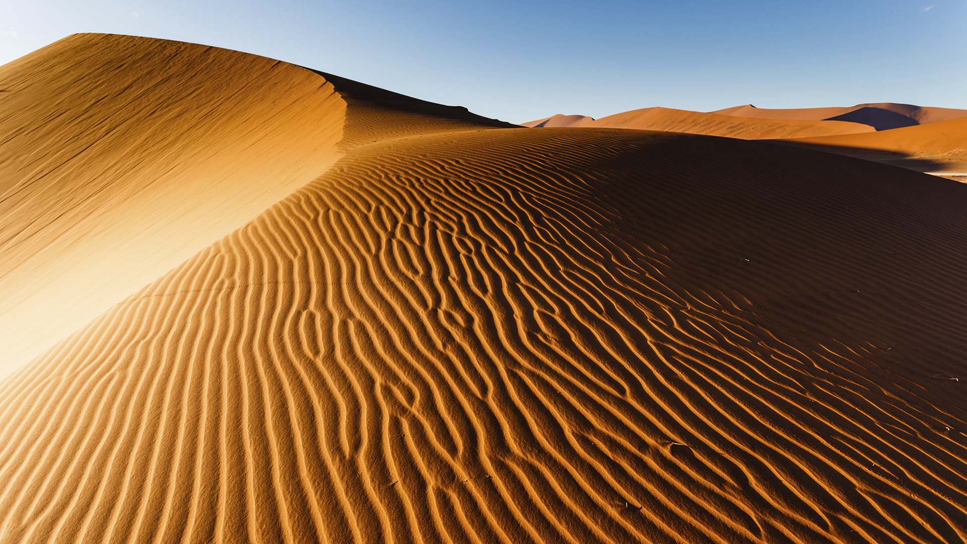 On a orange sand dune in Sossusvlei