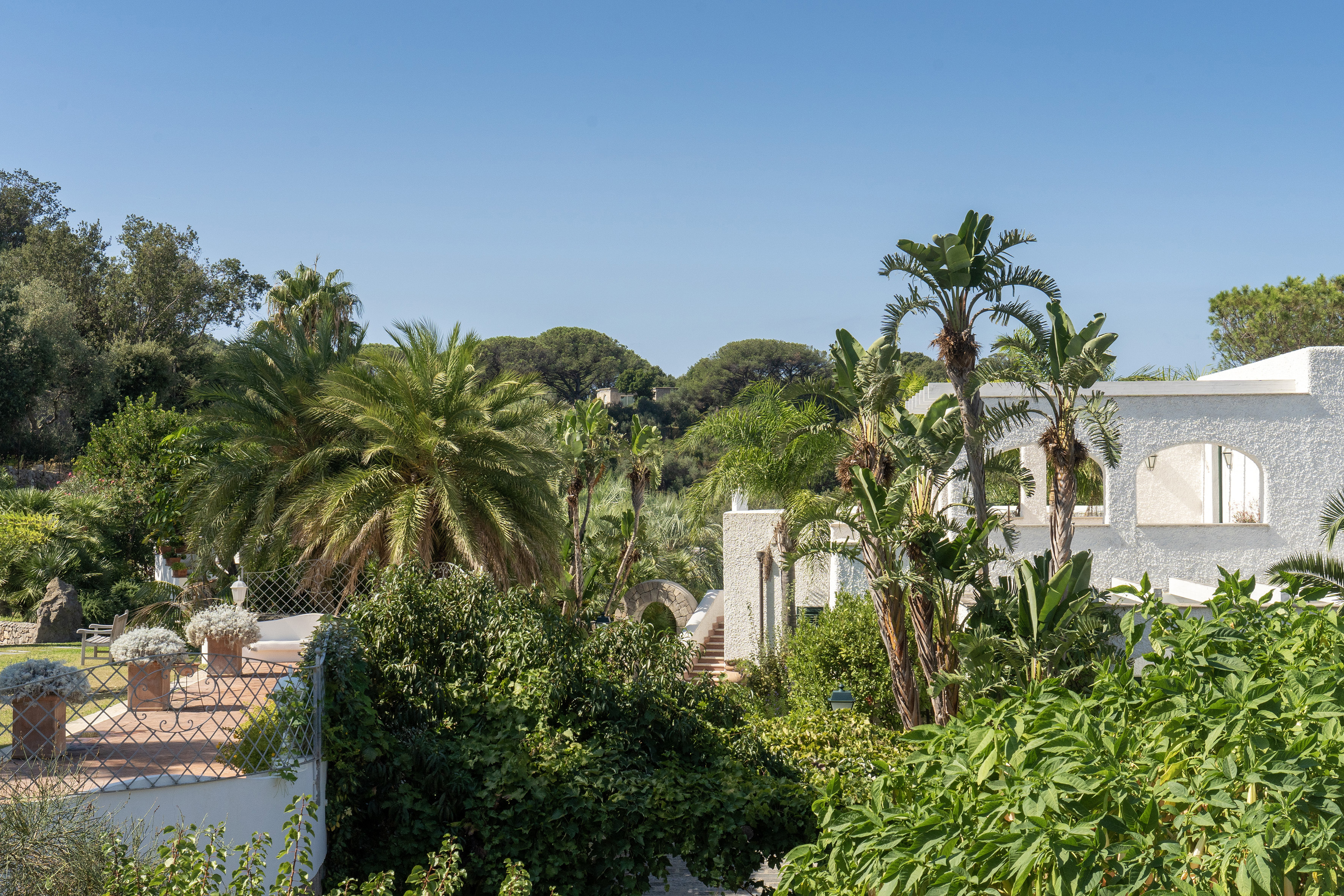 Lush garden view at Botania Relais & Spa in Ischia with palm trees, greenery, and Mediterranean architecture under a clear blue sky.