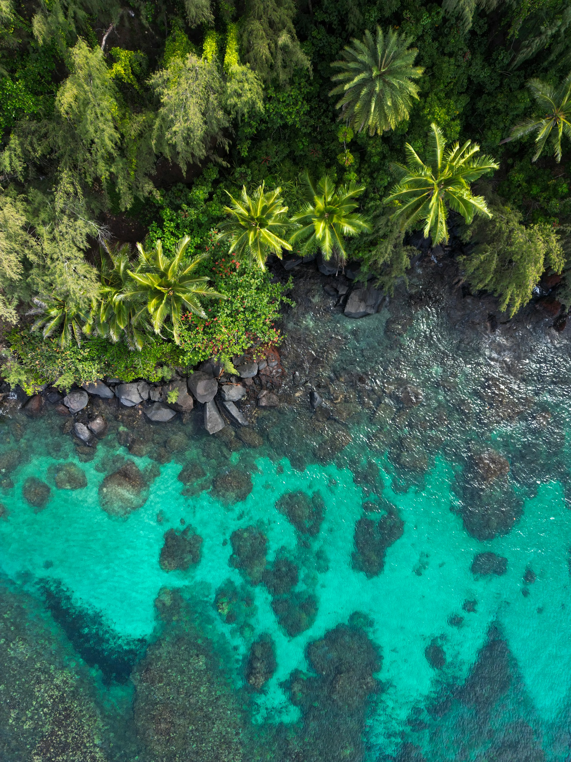 Aerial view of tropical coastline and coral reefs, Hawaii