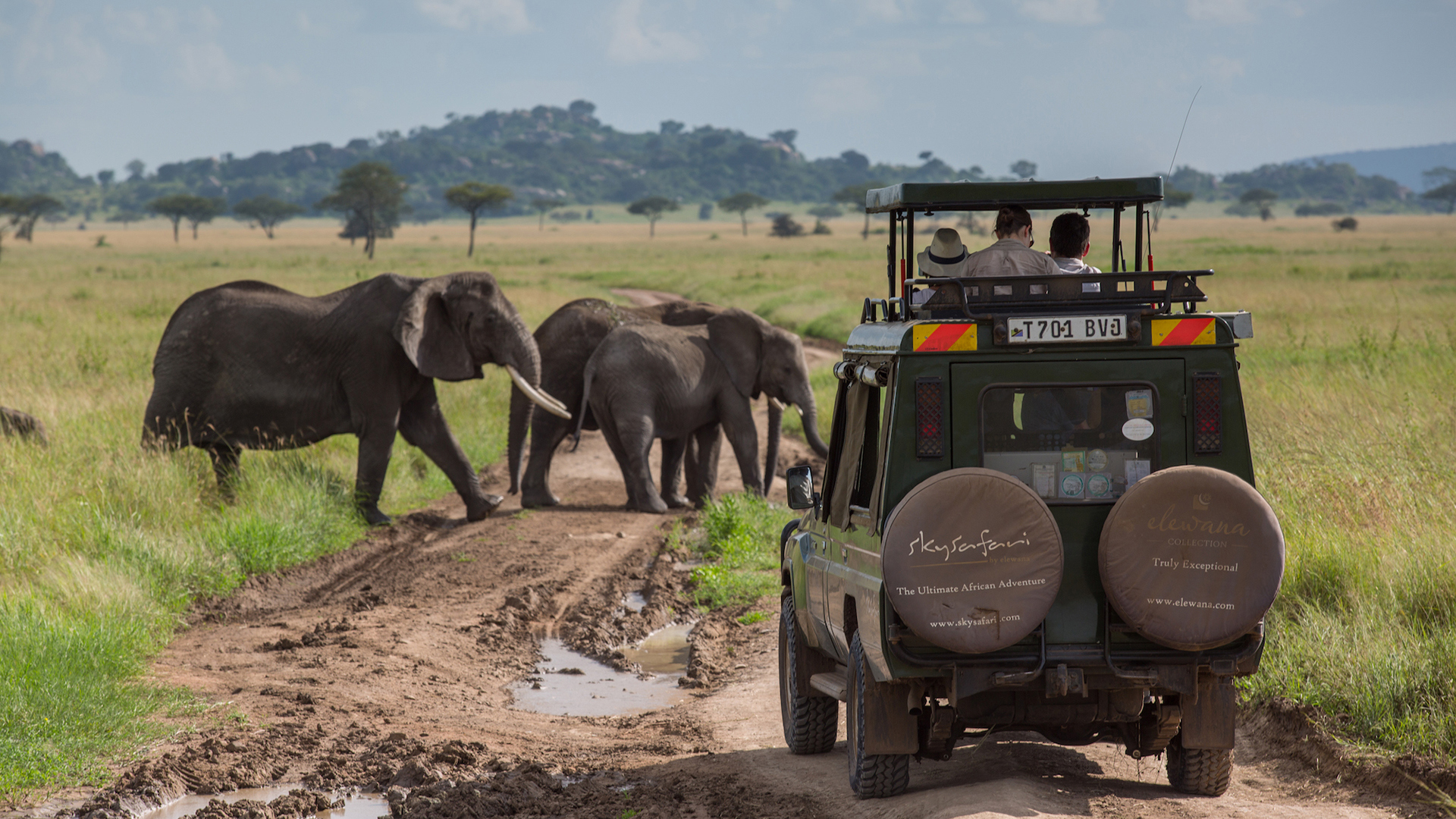 Africa, Luxury Tanzania Holidays, Serengeti Pioneer Camp, Game Drives