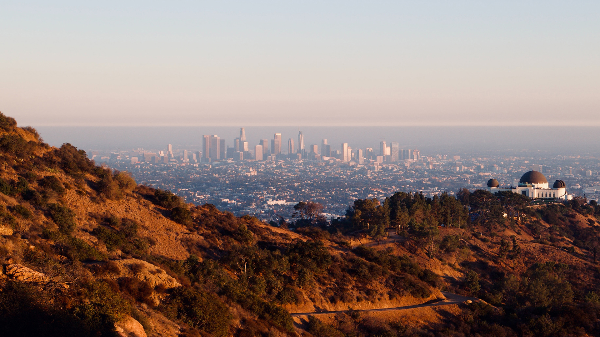 View of Griffith Observatory with LA skyline in background