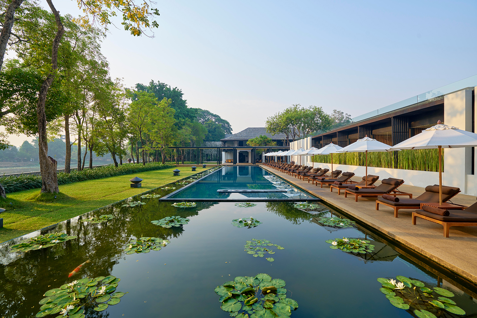 Asia, Thailand, Anantara Chiang Mai Resort, Pool Lotus Pond