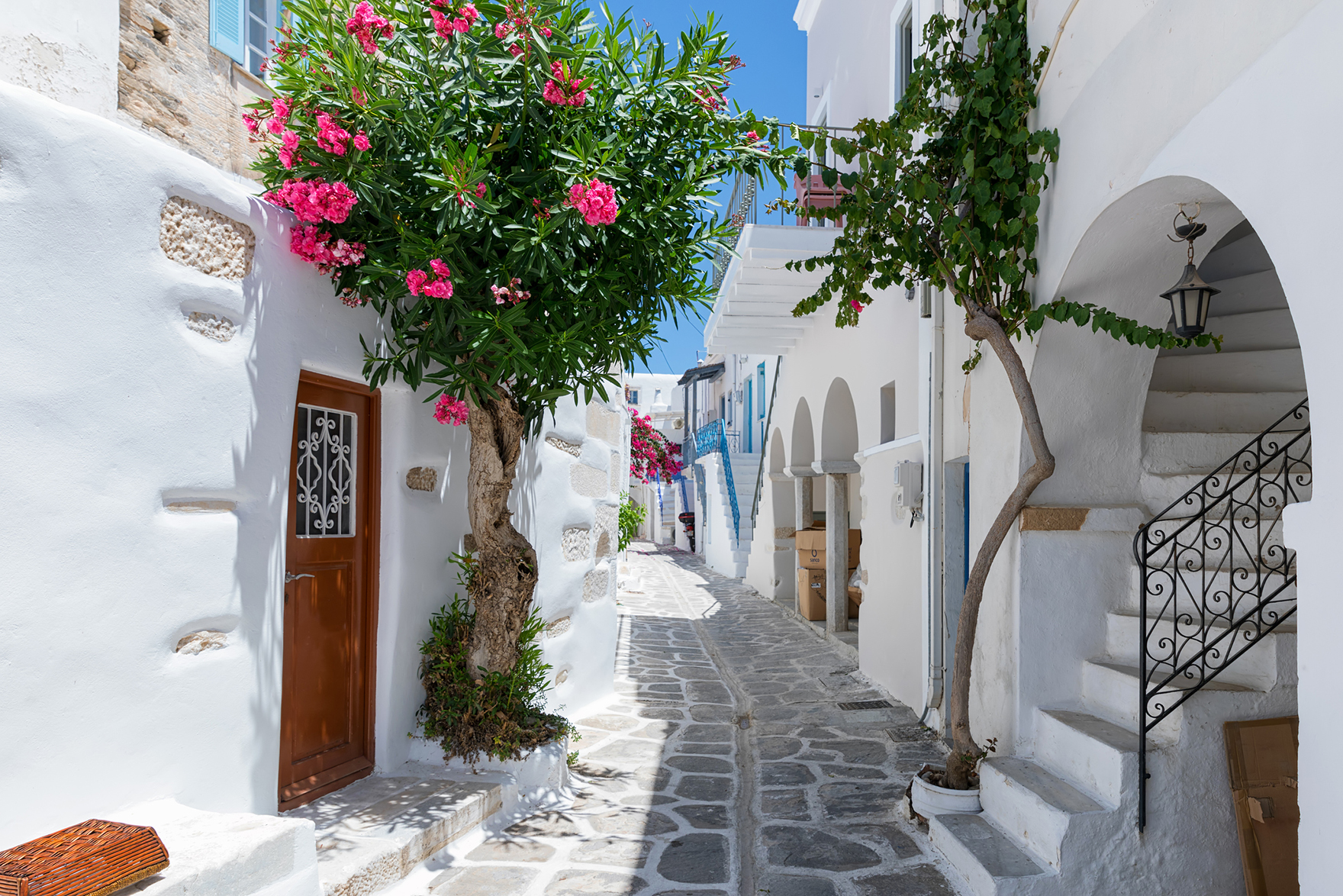 Europe, Greece, Paros, whitewashed street with pink flowers