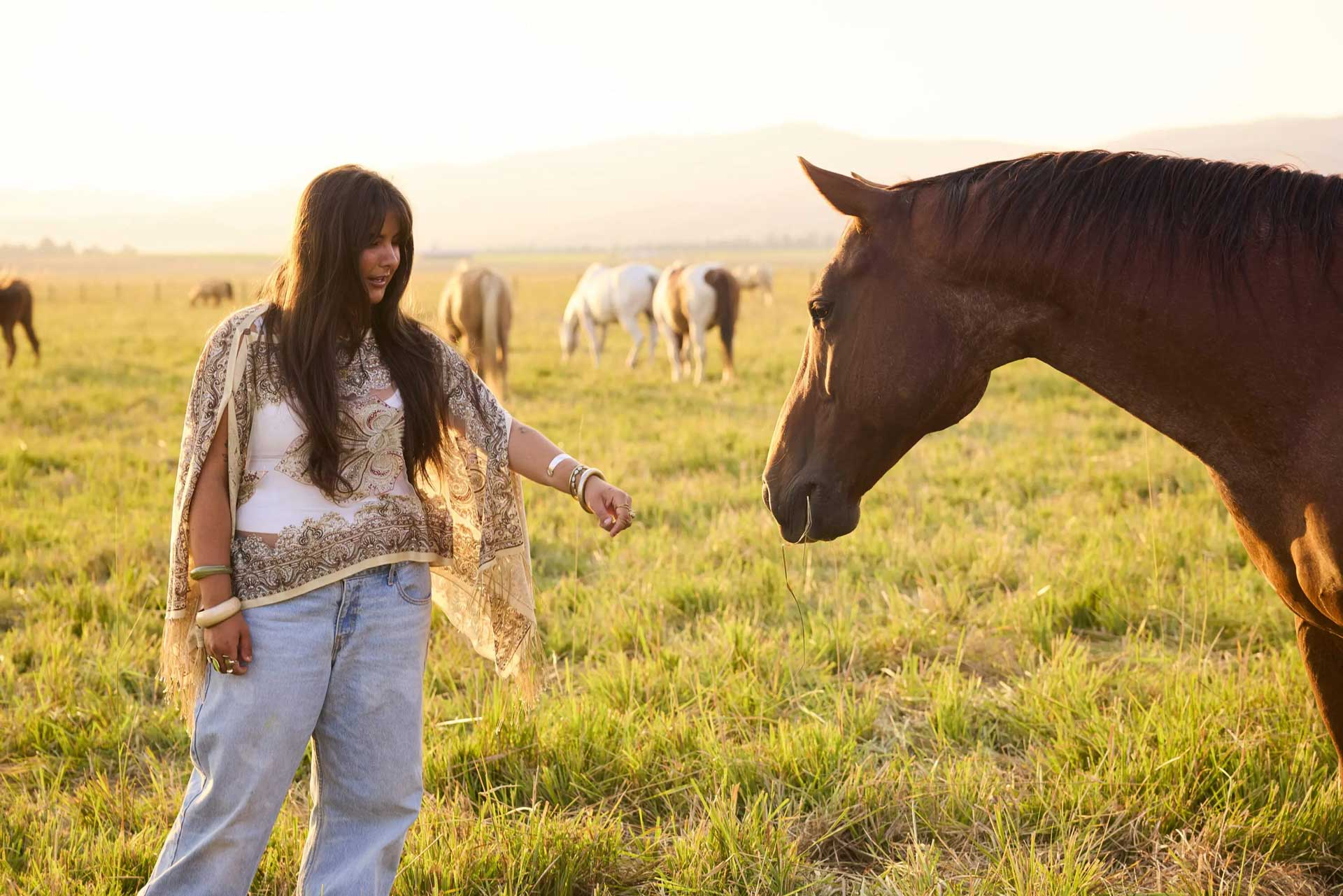 Person interacting with a horse in an open grassy field with several other horses grazing in the background.