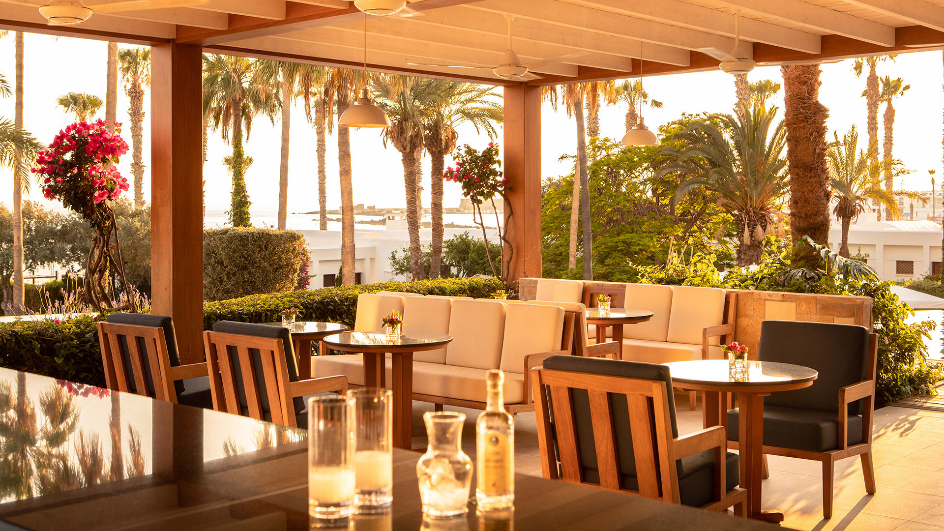 Europe, Cyprus, Paphos, Annabelle, Amorosa terrace