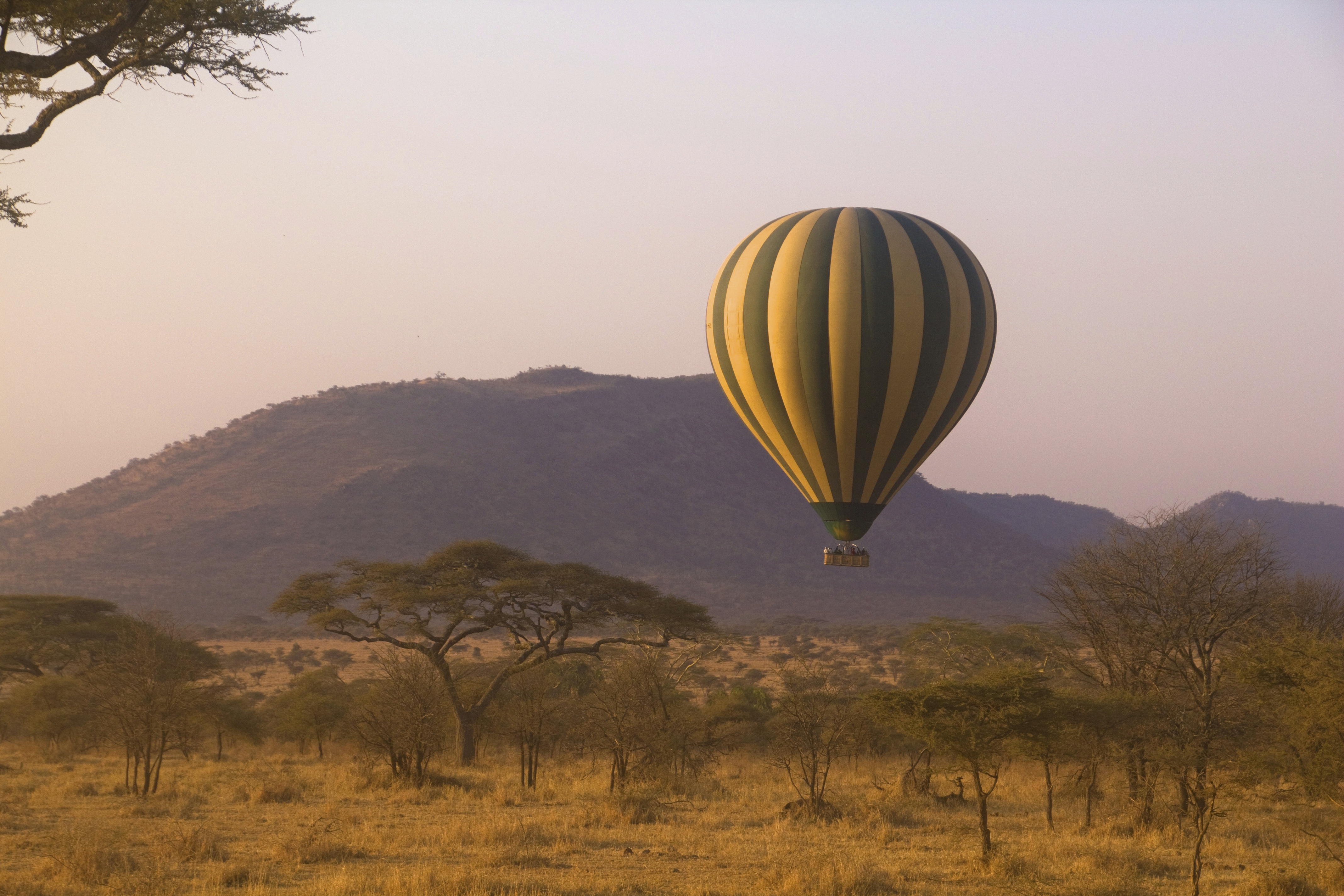 A hot air balloon flying just above trees