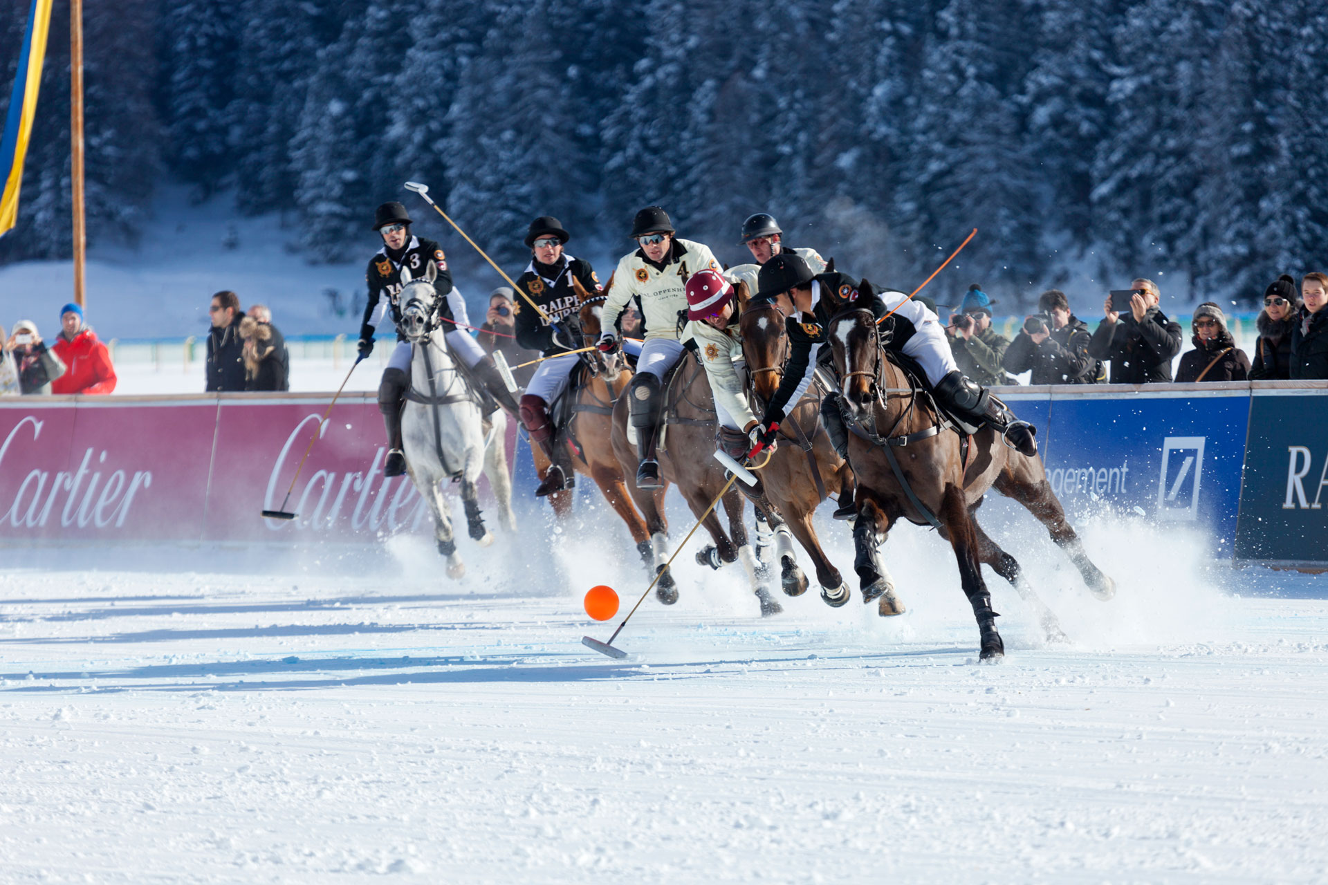 Winter polo players chasing a ball