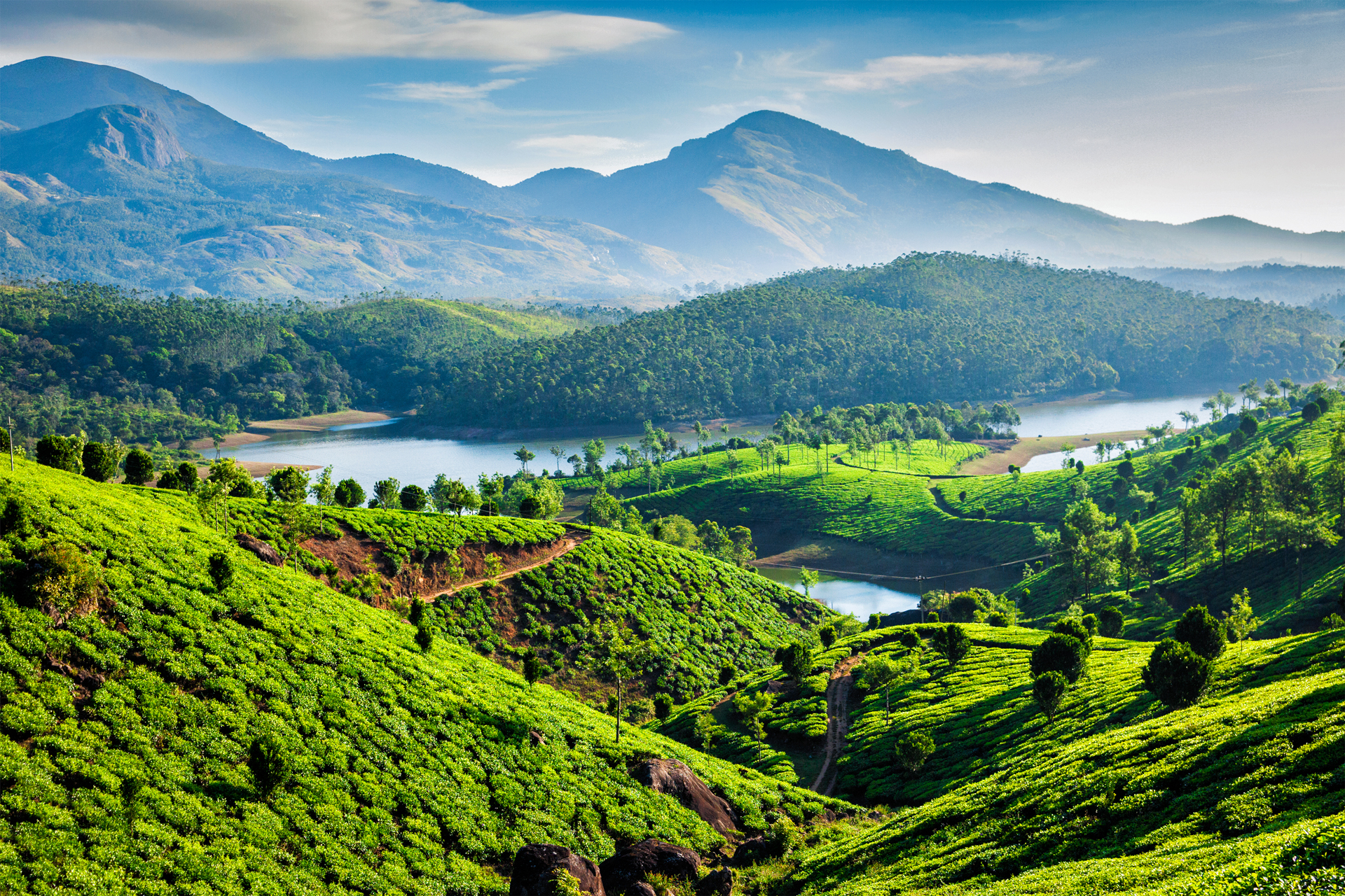 Green hills with trees and a lake