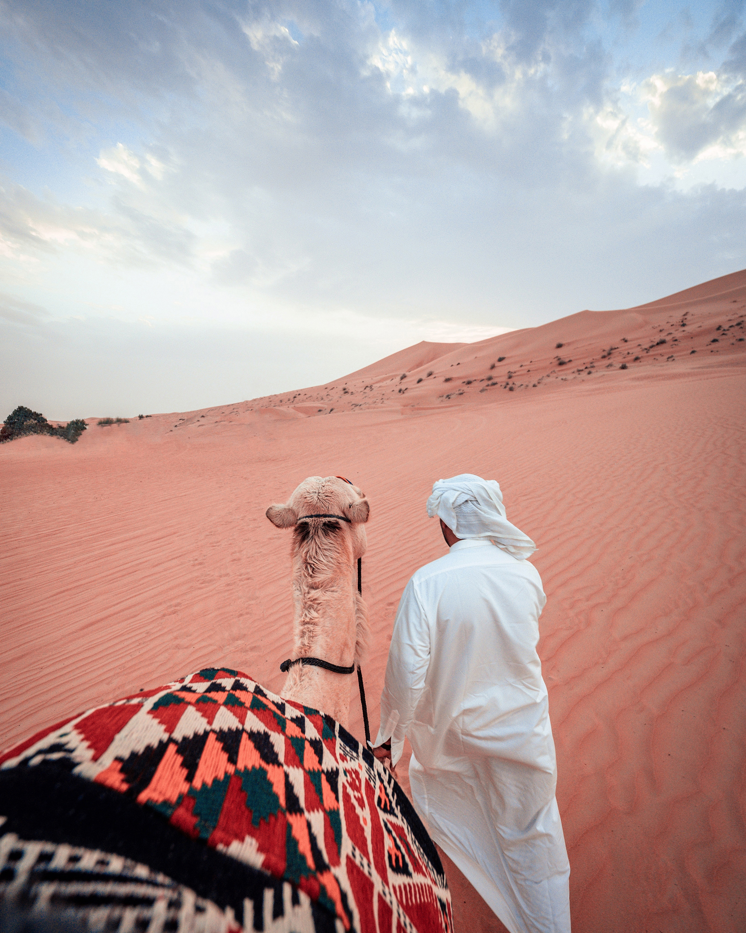 a person walking a camel through the desert