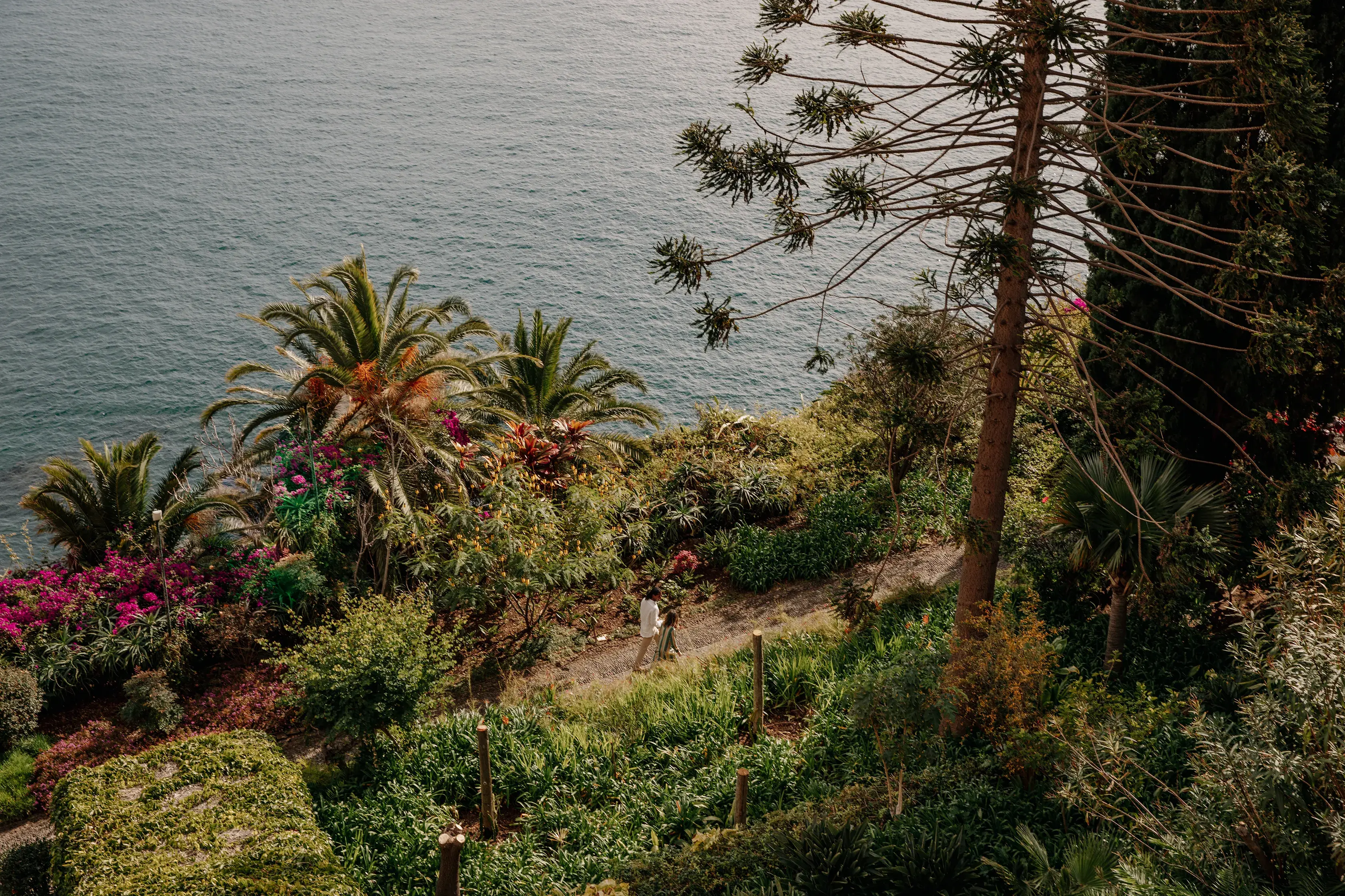 Europe, Portugal, Madeira, Reid's Palace A Belmond Hotel Madeira, Garden Junior Suite view